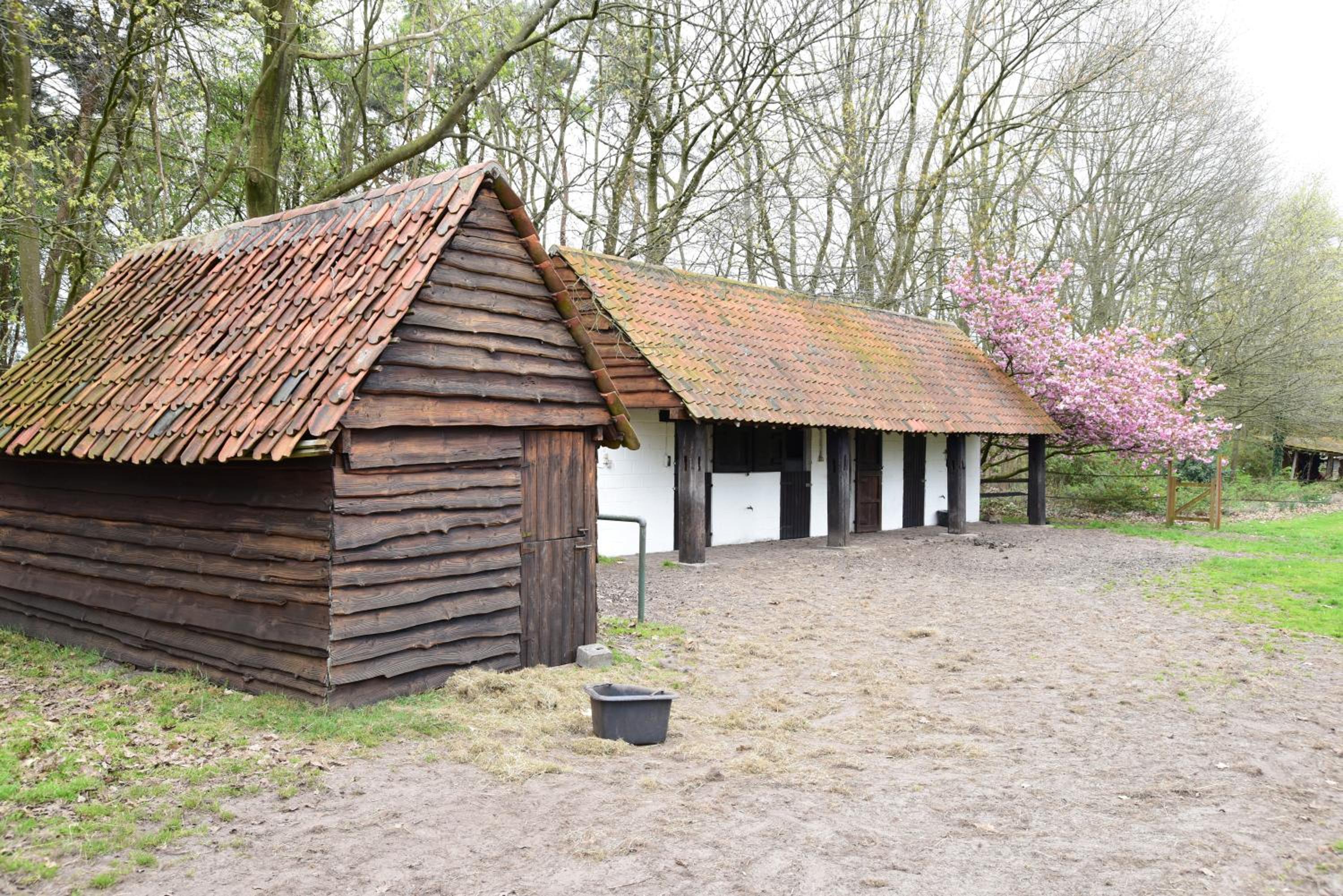 B&B Domein Rodin