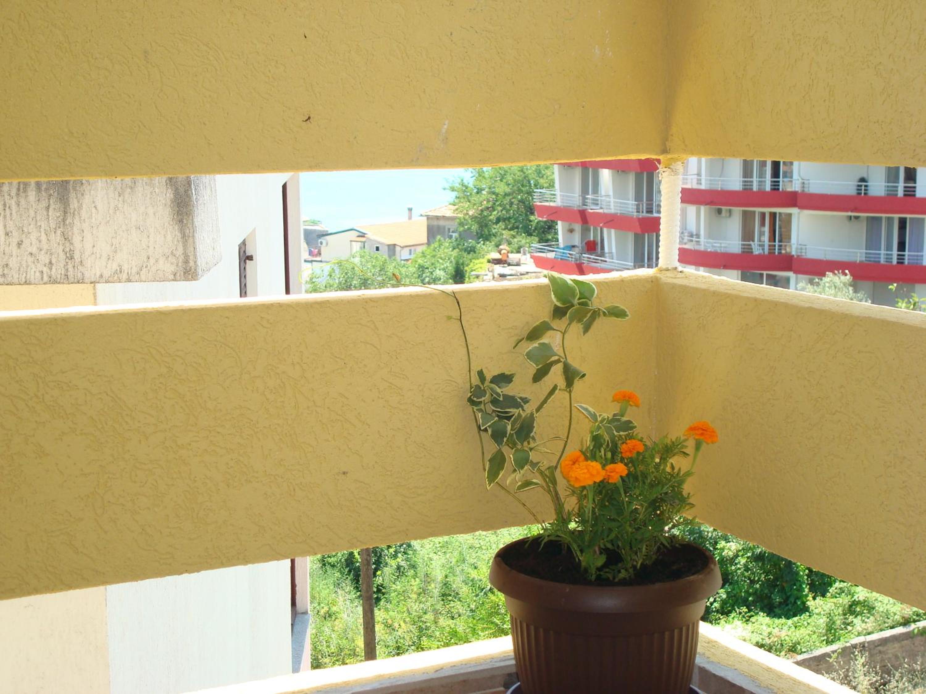 Apartments Cejovic, photo 26