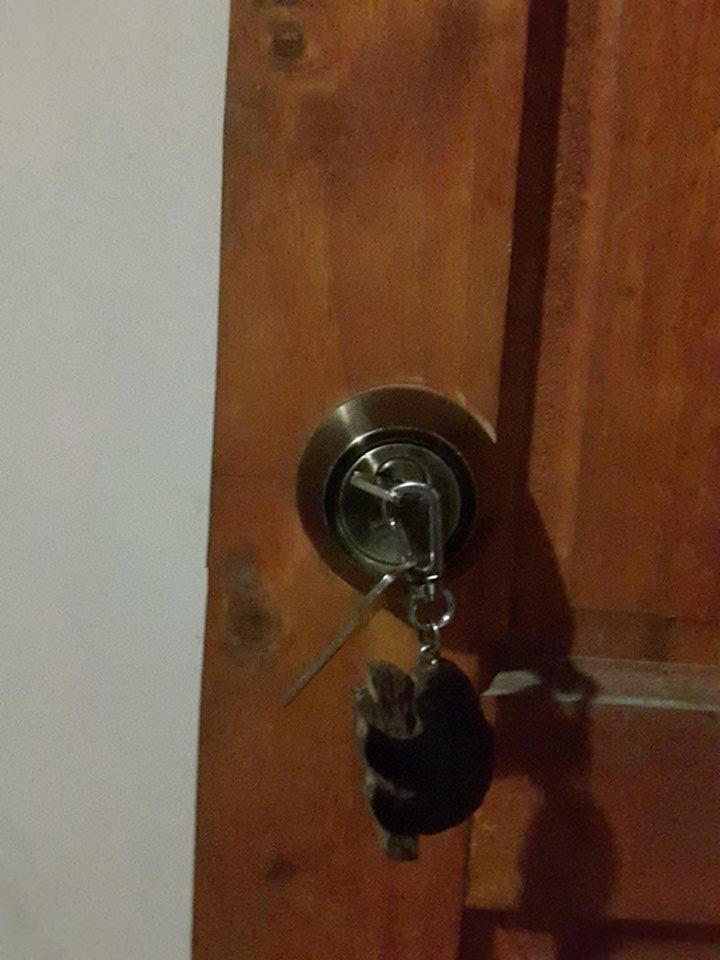 Gecko de Tortuguero