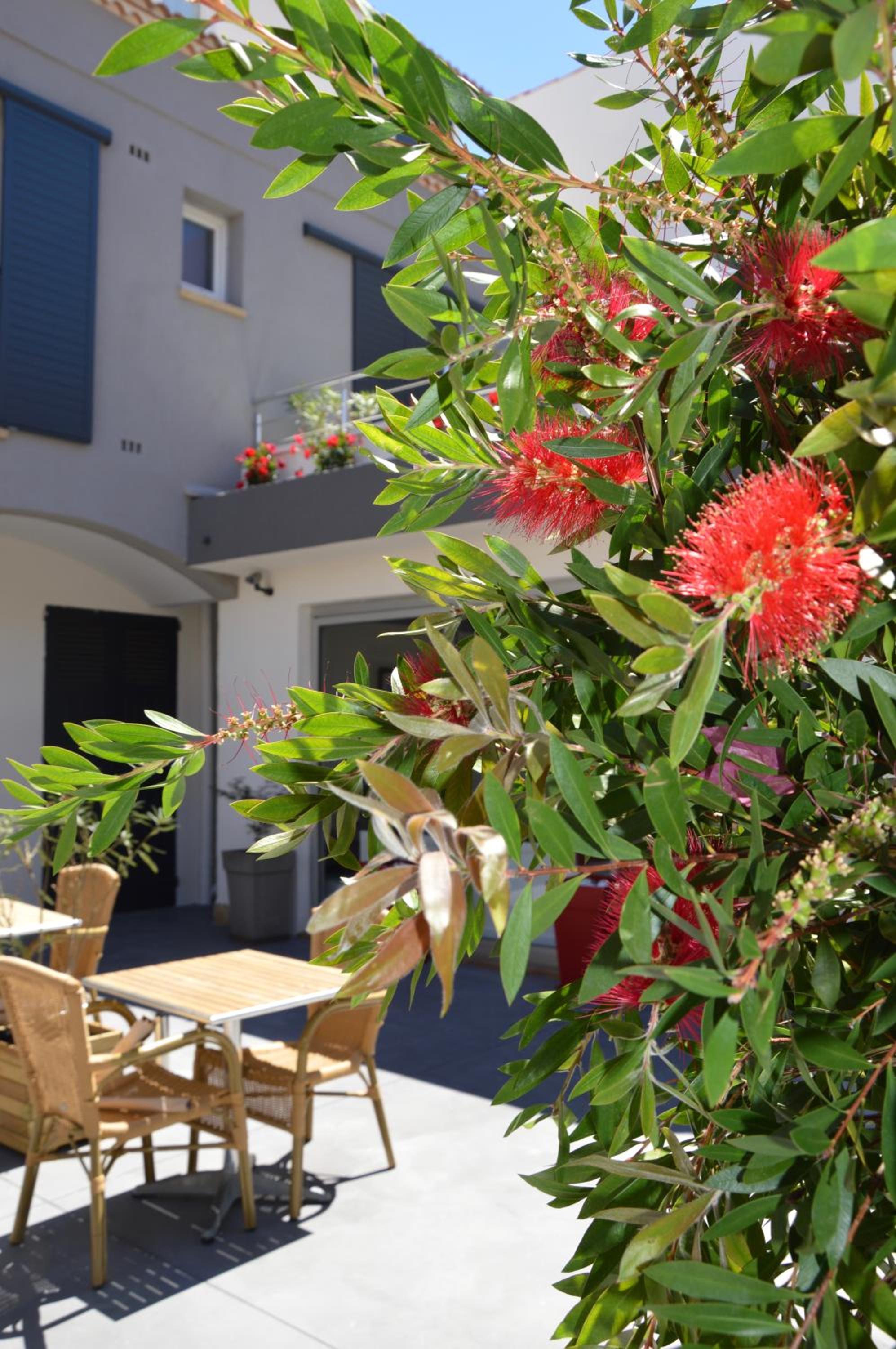Hotel Les Acacias, photo 12