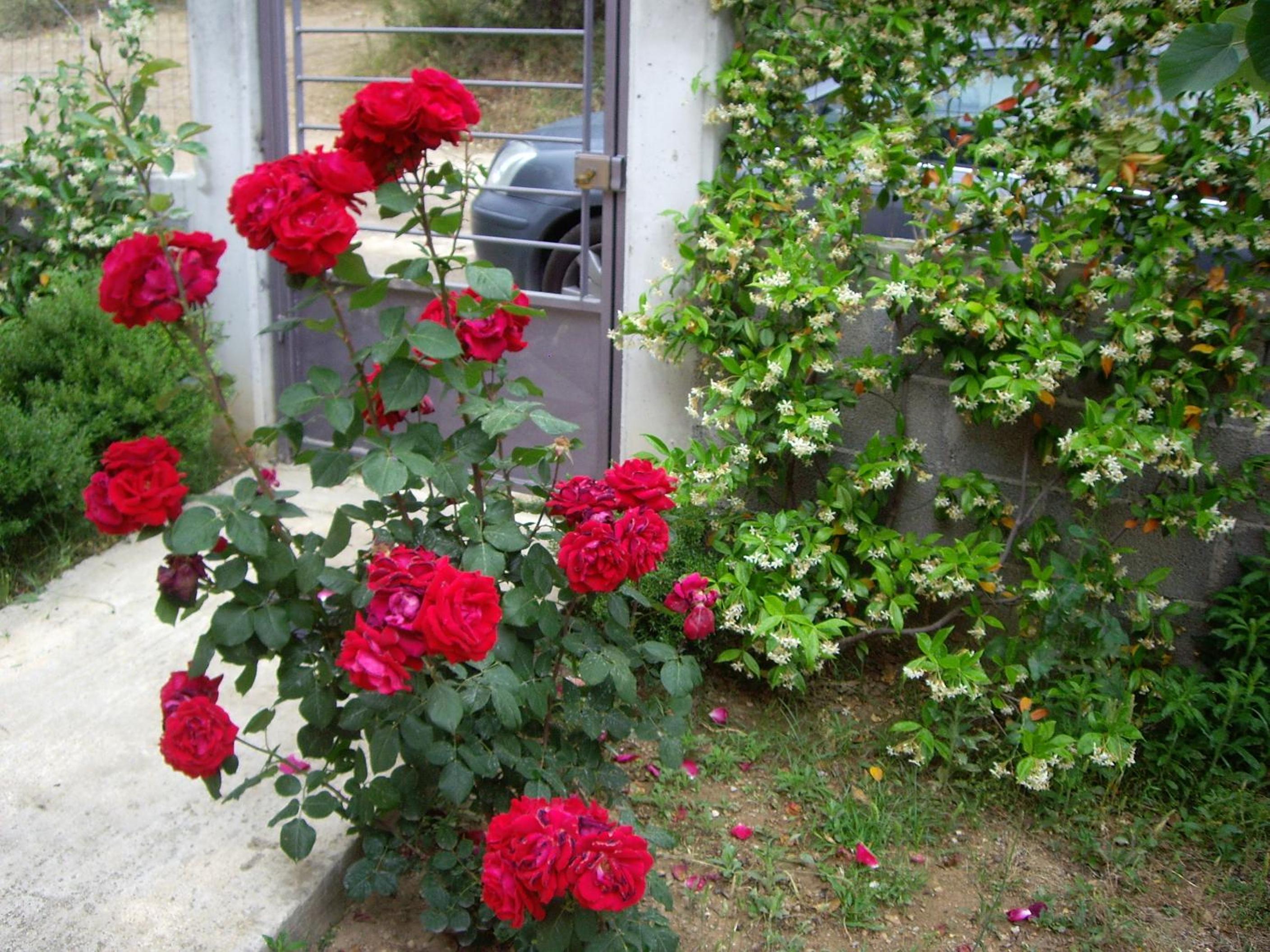 Photo 37