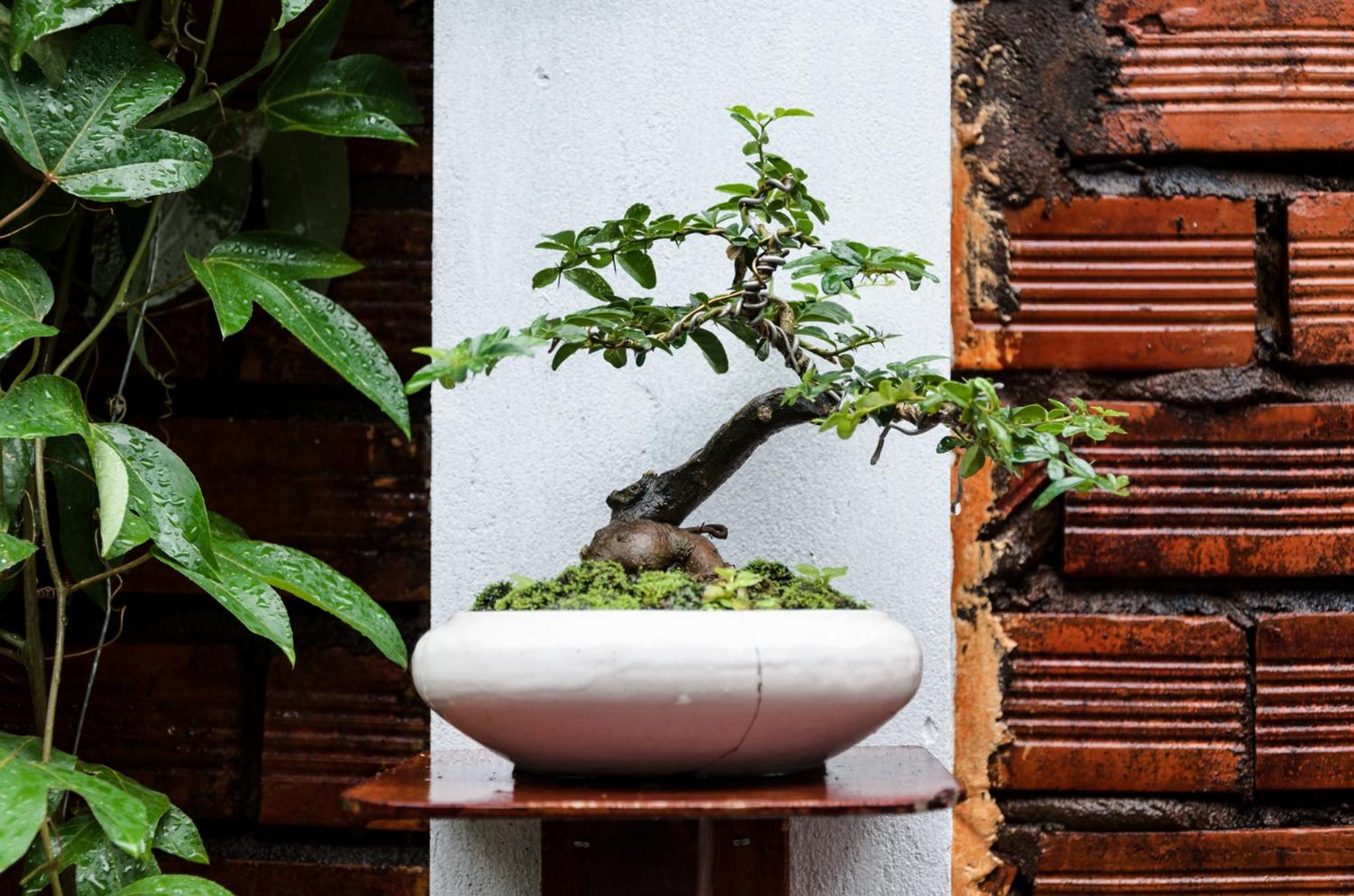 Ngoc Qui Bungalow