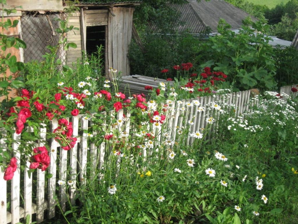 Photo 22