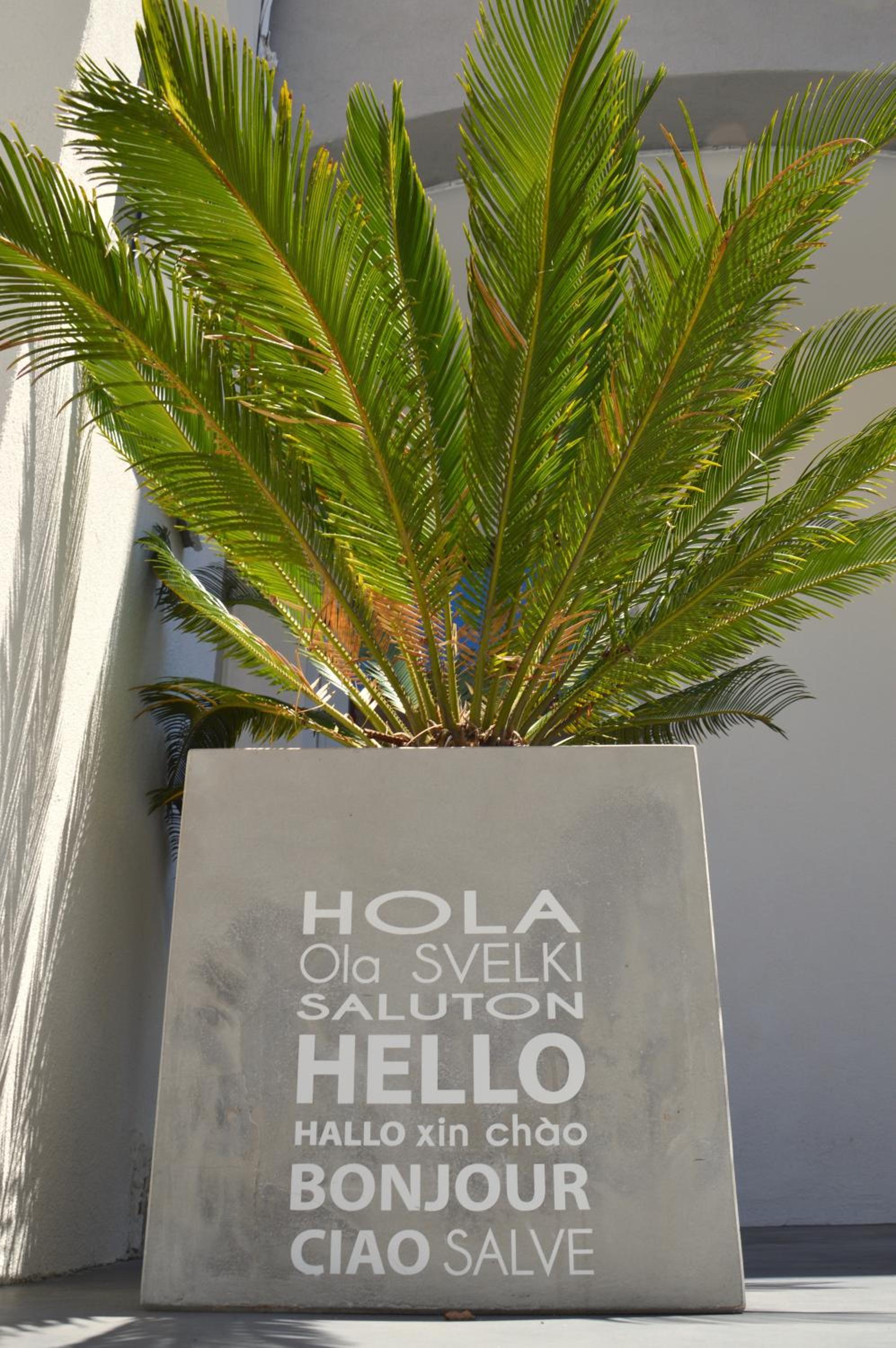 Hotel Les Acacias, photo 11