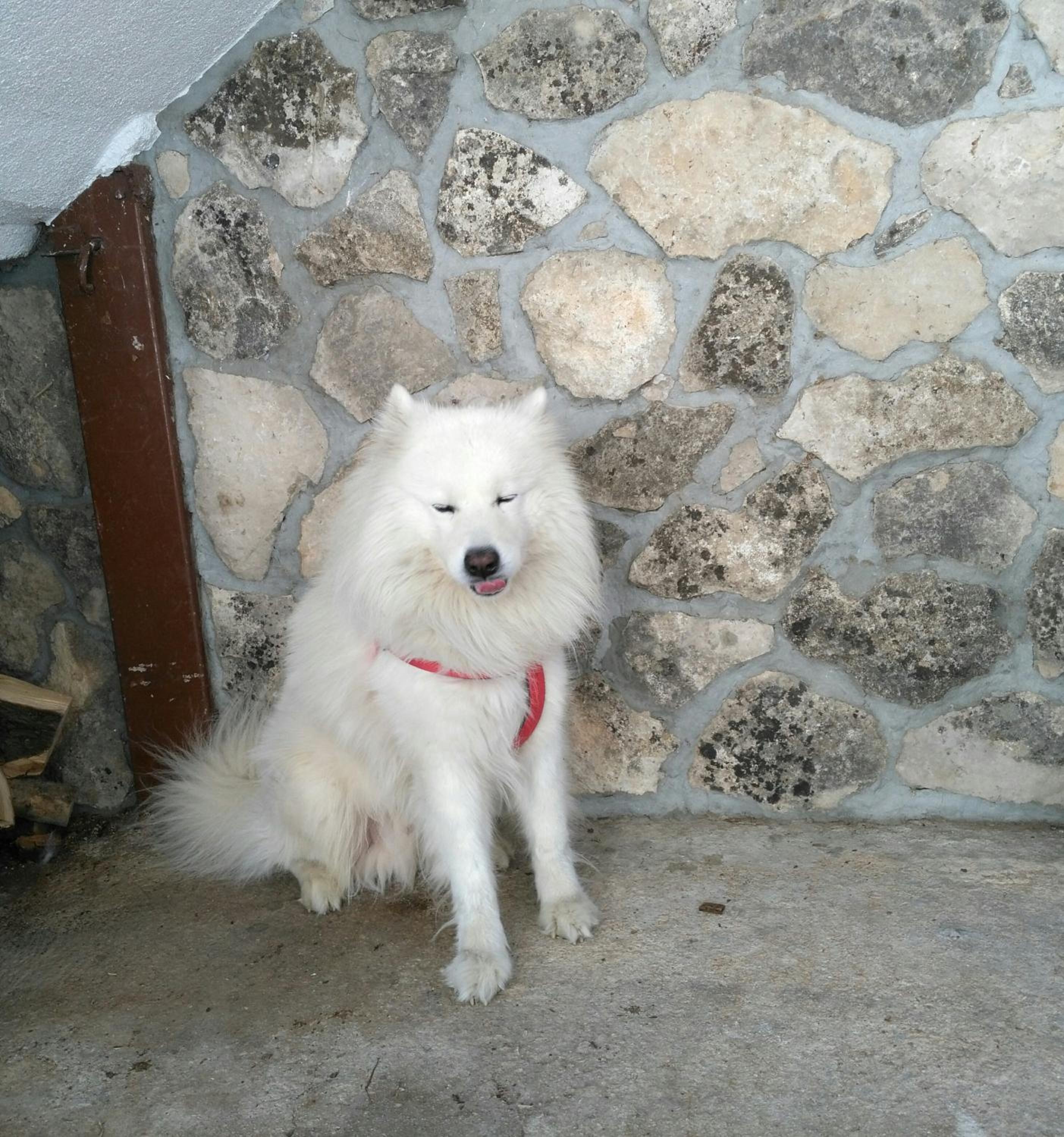 Photo 30