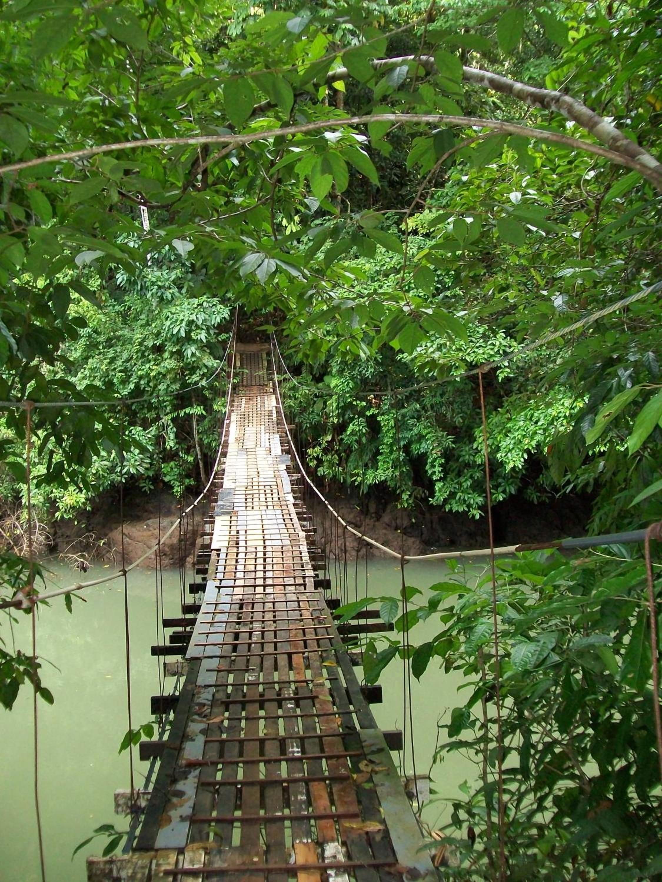 Copa De Arbol Beach & Rainforest Resort