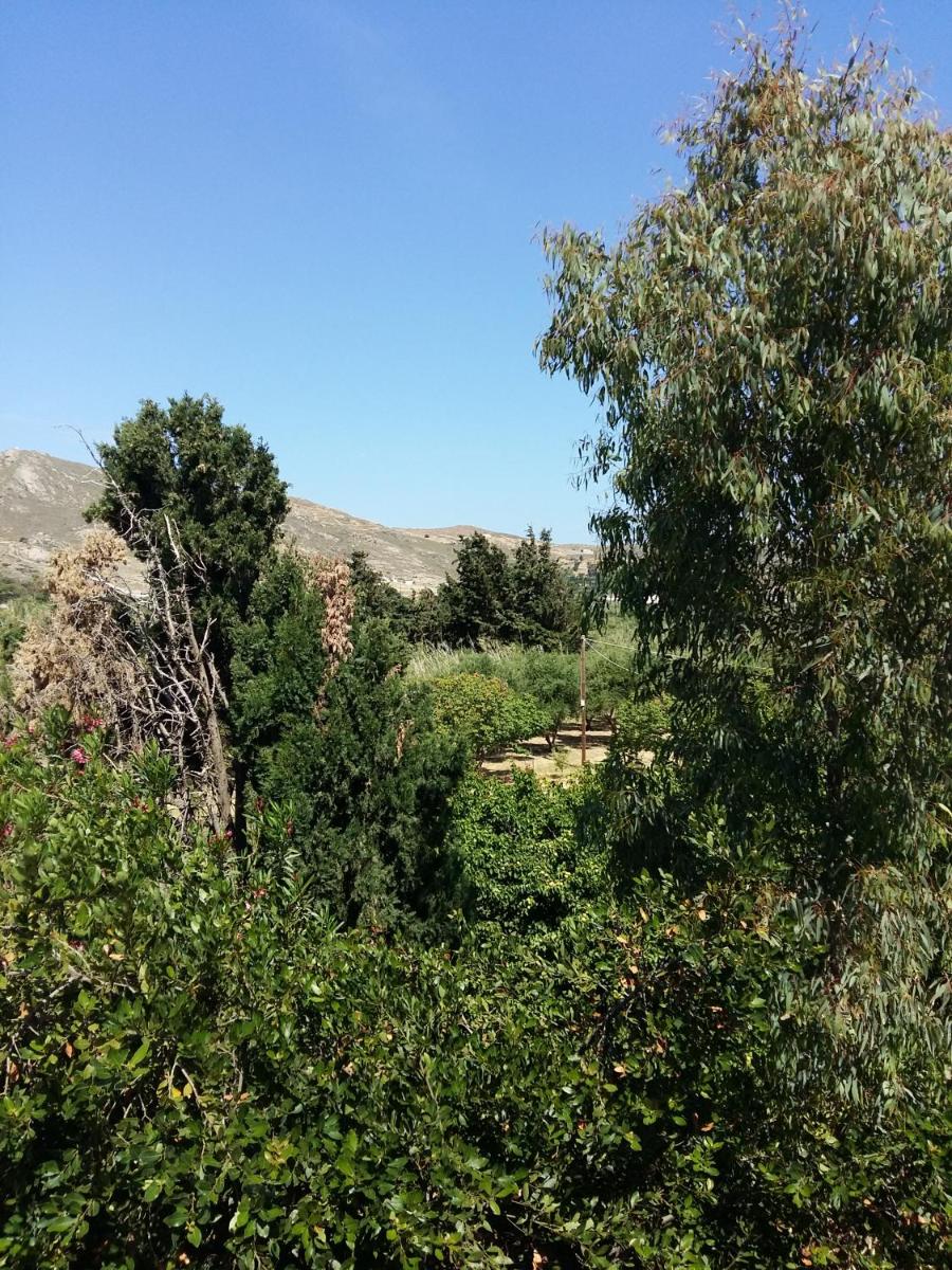 Photo 46