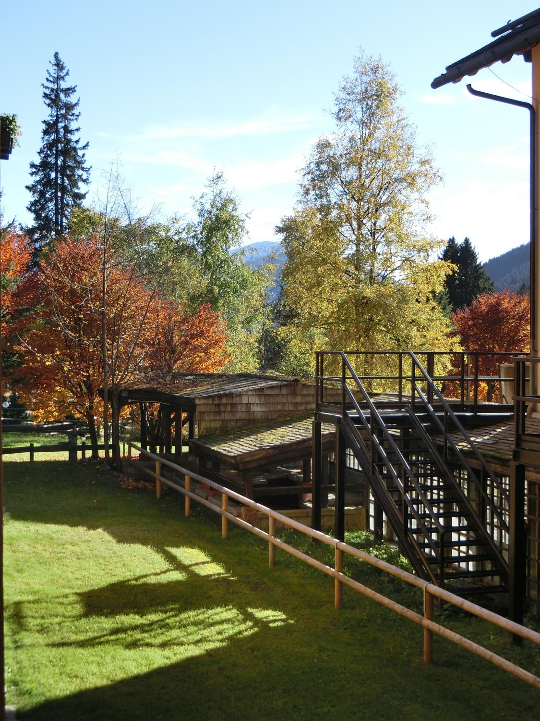Monolocali Alberti - Des Alpes view 5