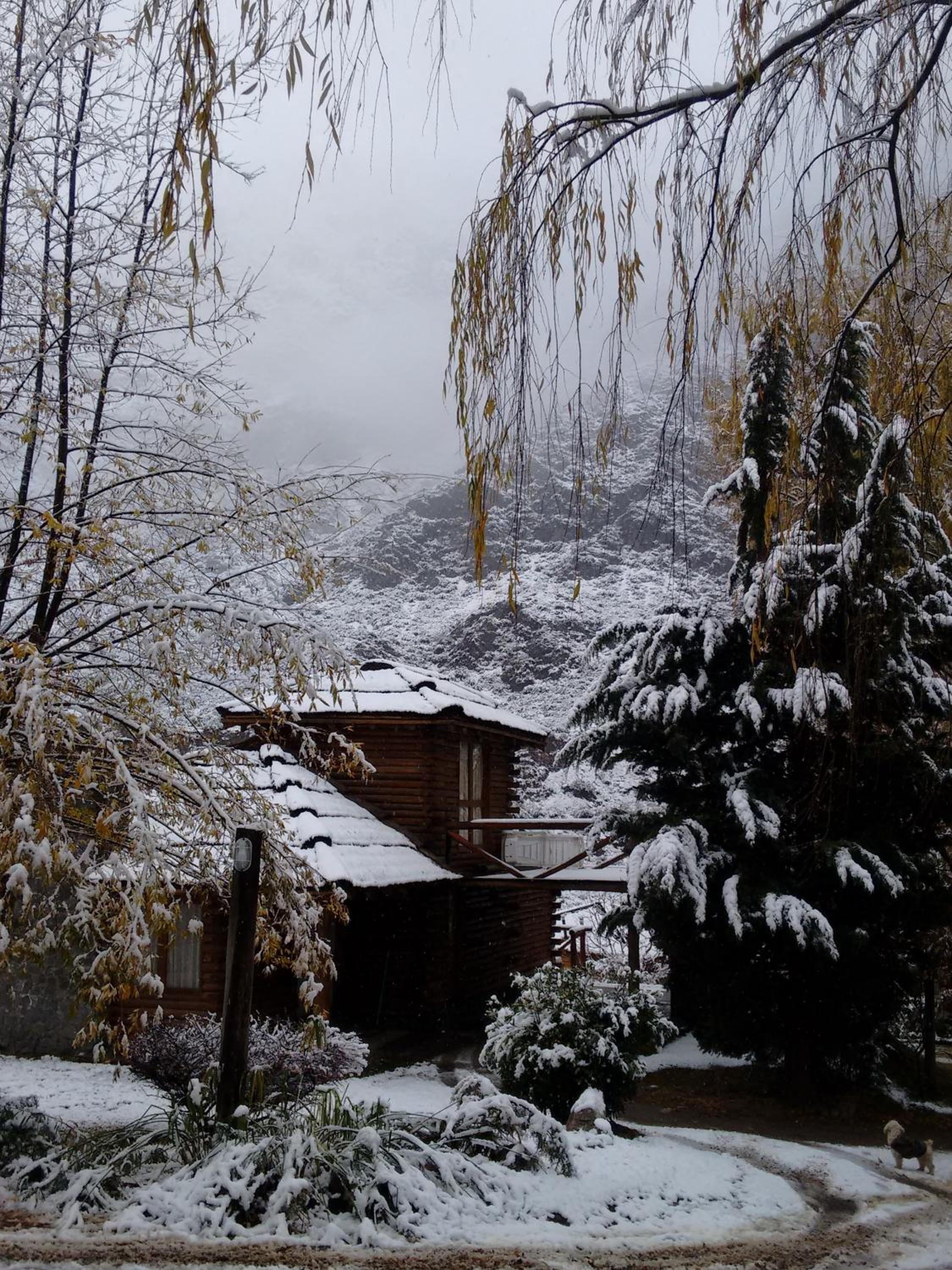 Mendoza Sol y Nieve