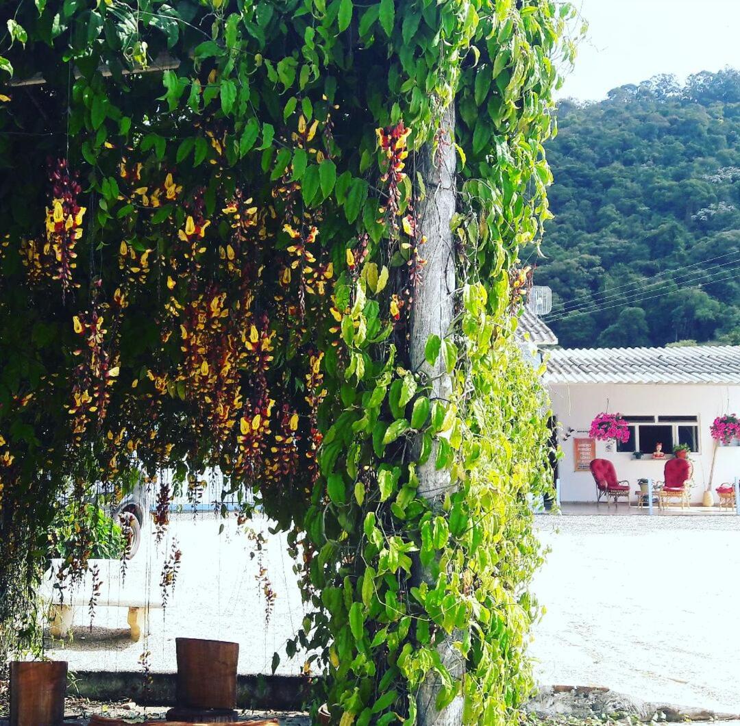 Pousada Primavera da Serra