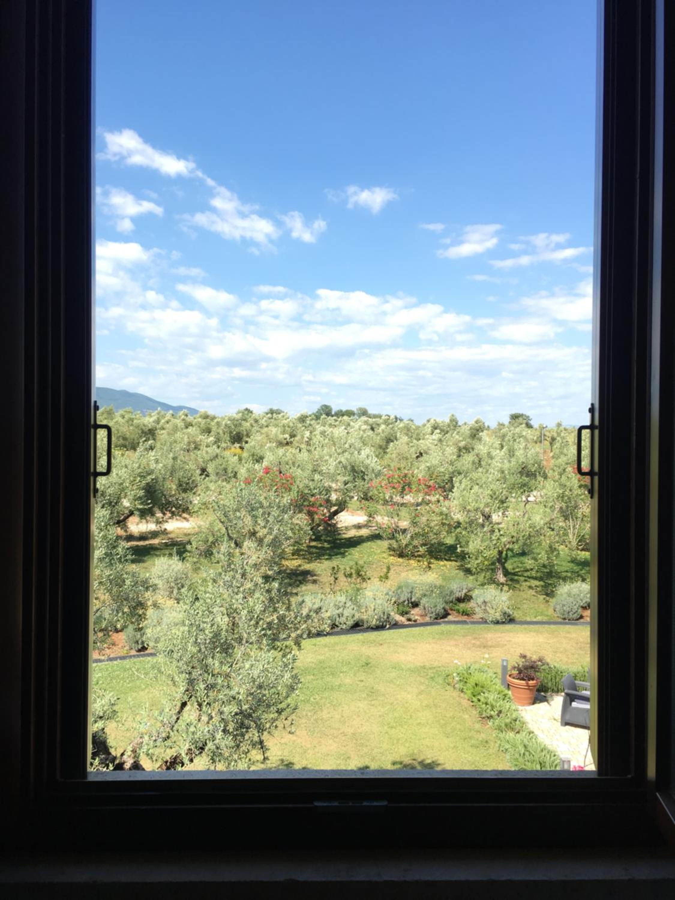 Il Casale degli Ulivi - Agriturismo - TENIMENTI LEONE