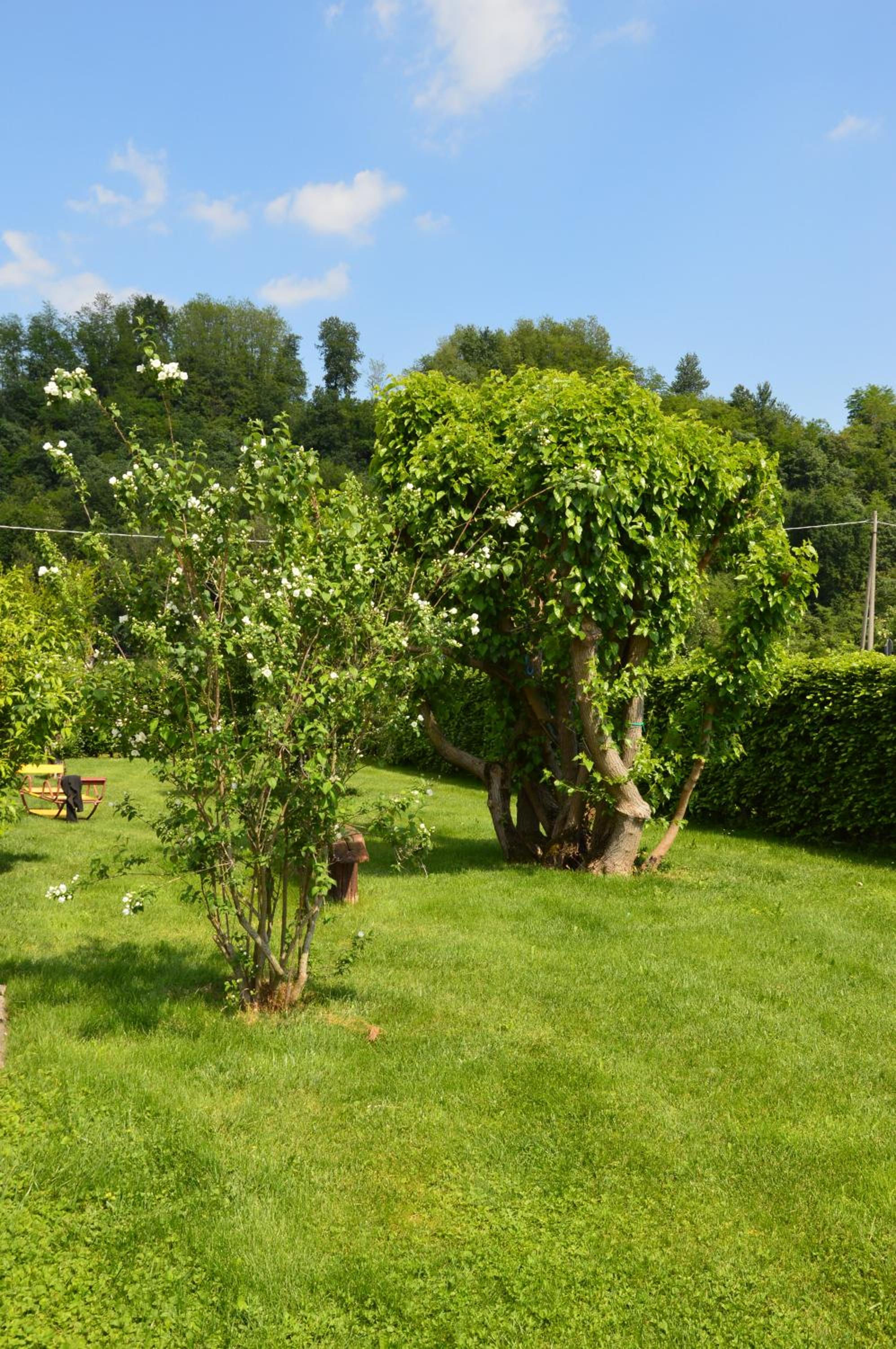 Photo 30