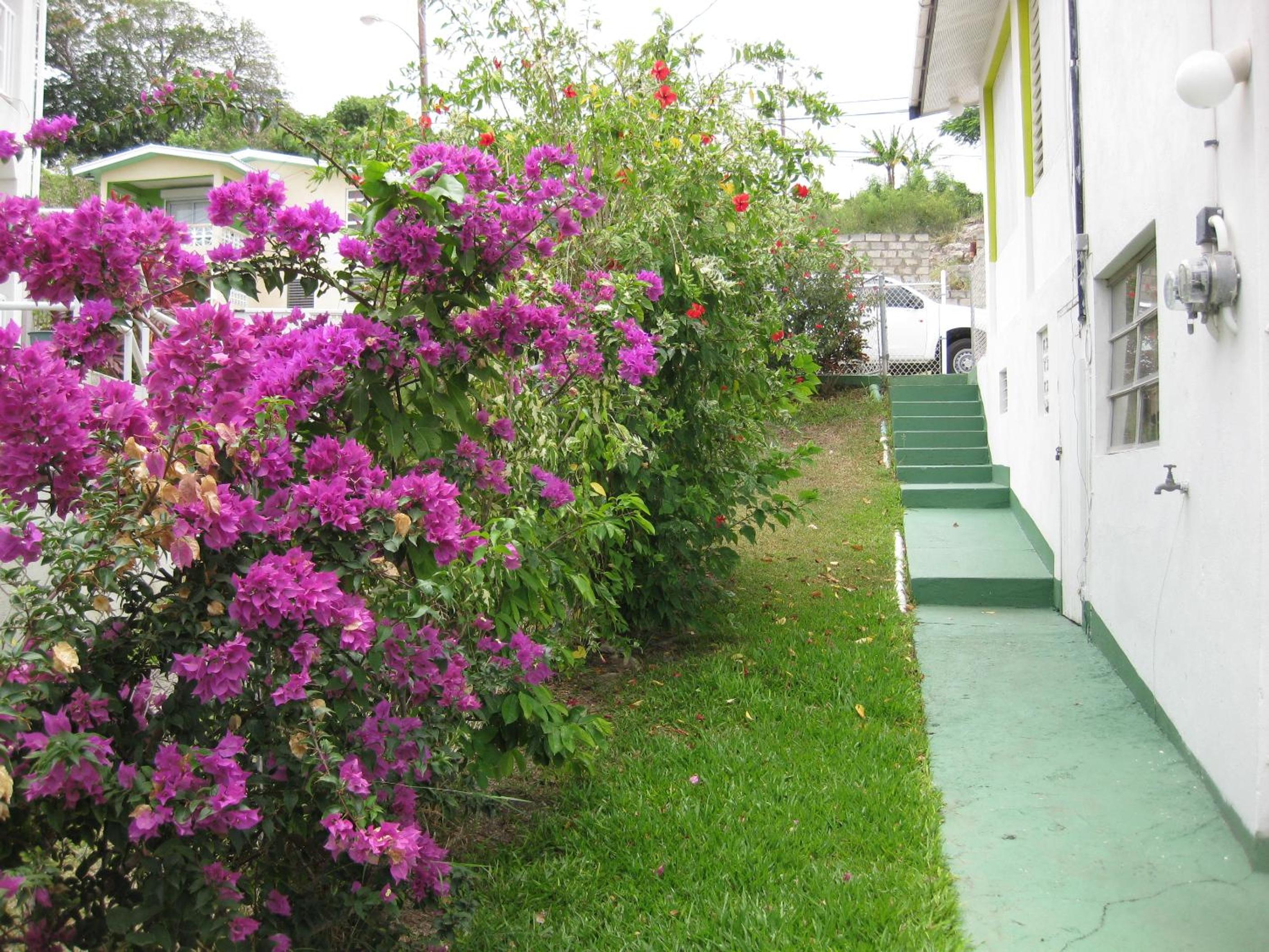 Walsh's Guesthouse