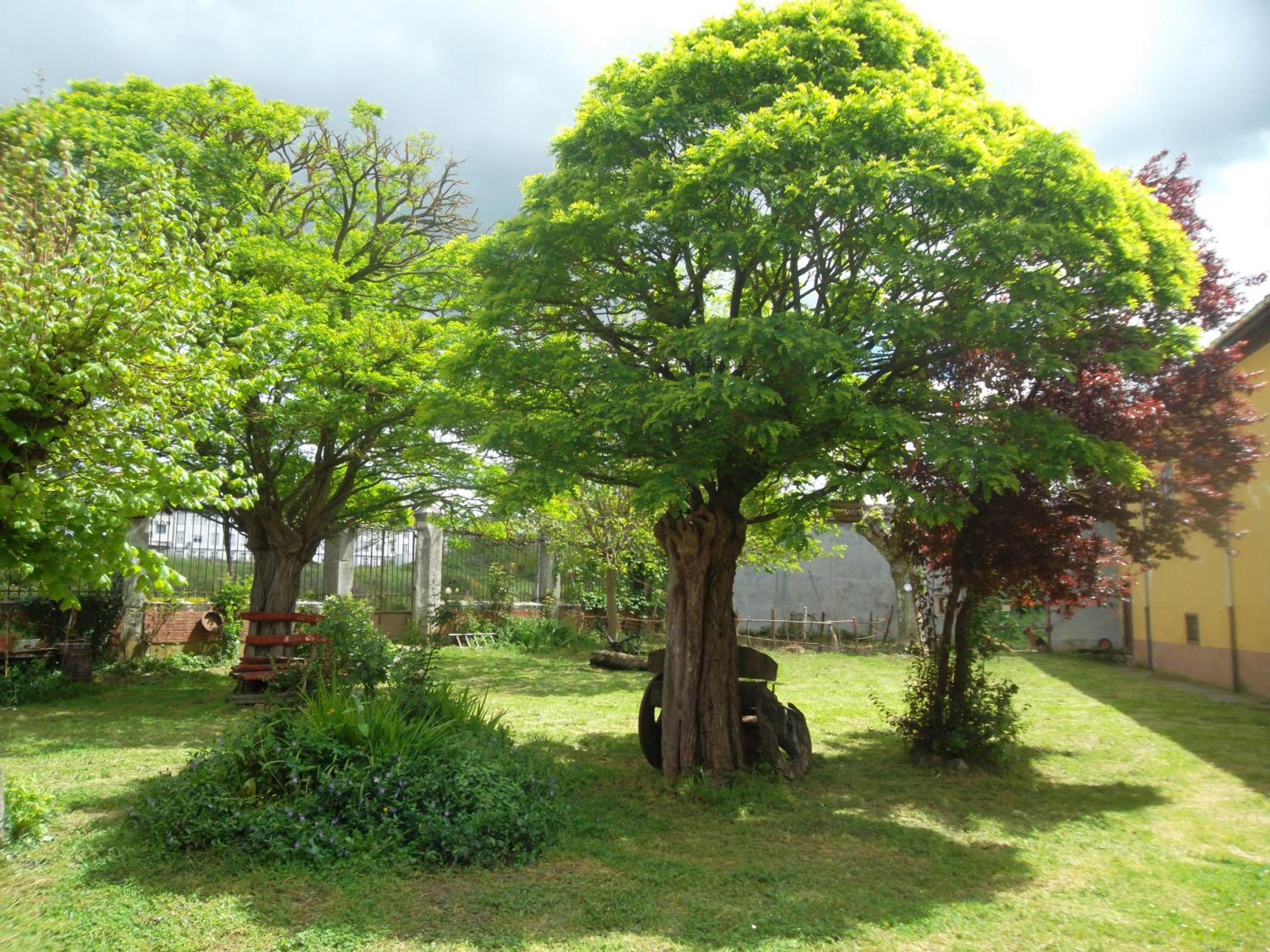 Molinos de Antero
