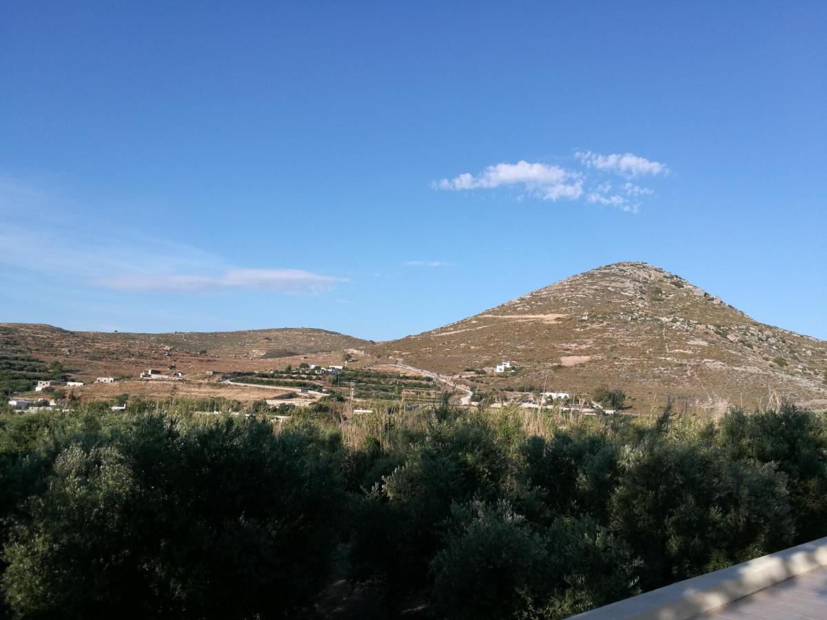 Photo 45