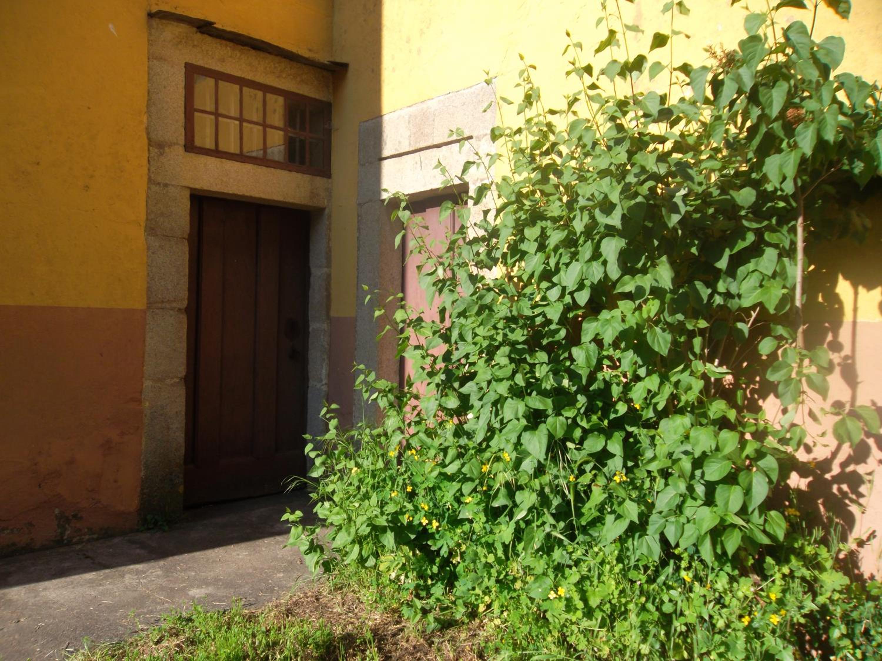 Molinos de Antero