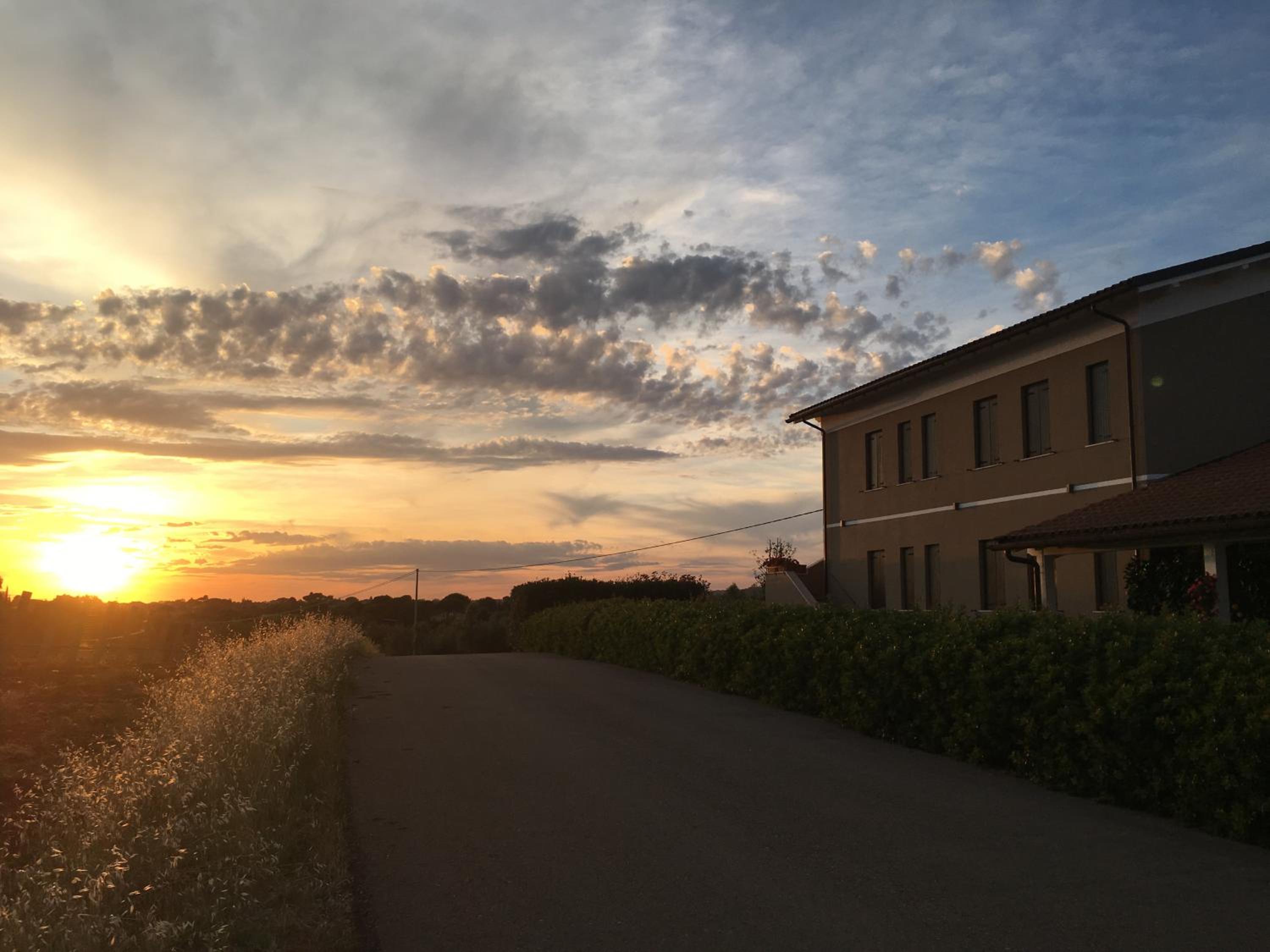 Il Casale degli Ulivi - Agriturismo - TENIMENTI LEONE