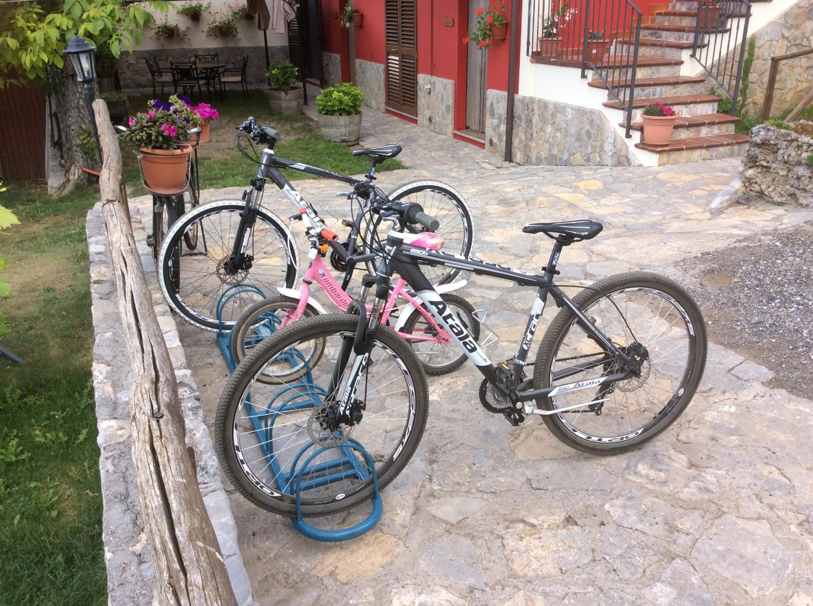 Photo 15