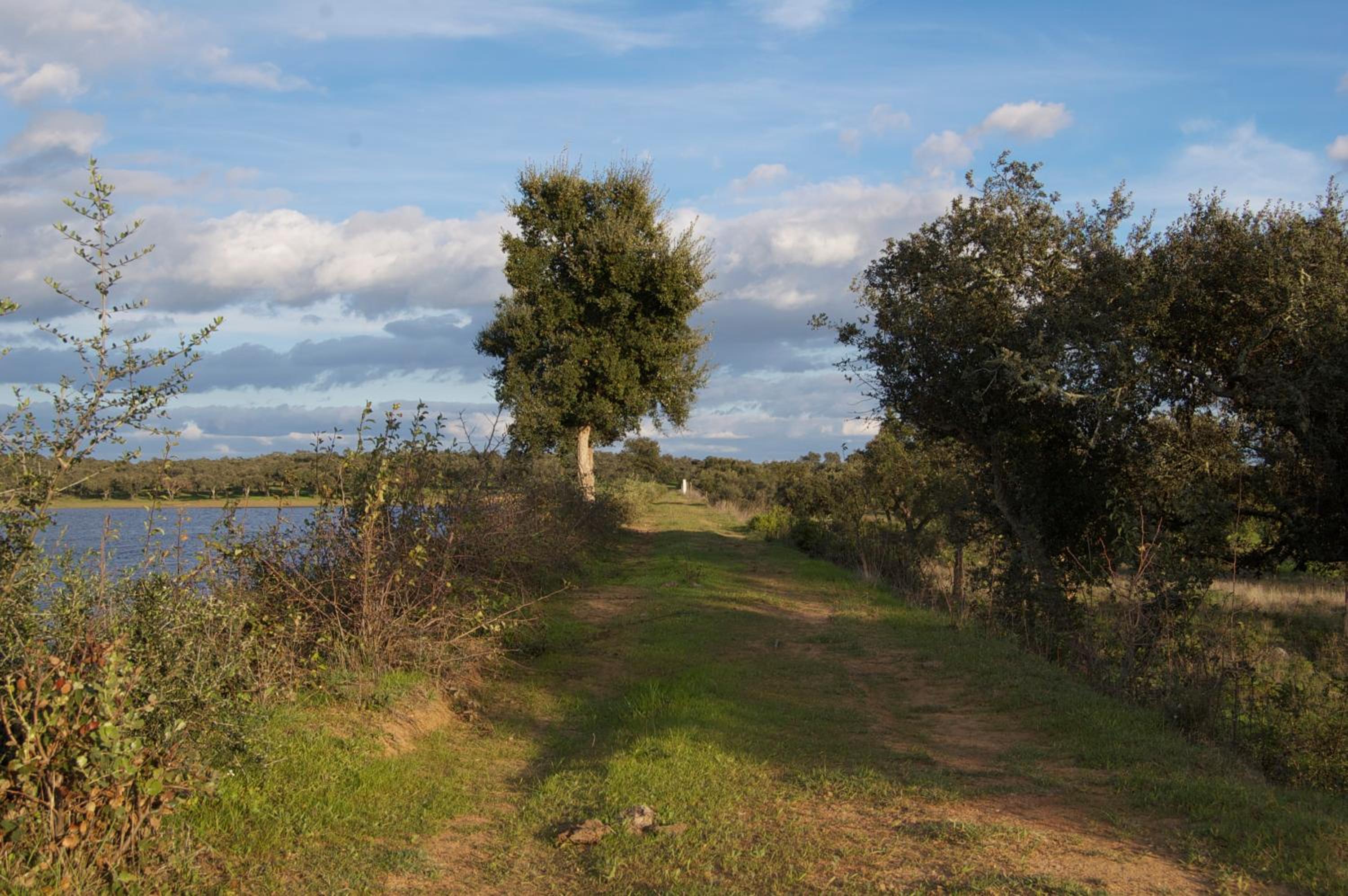 Photo 42