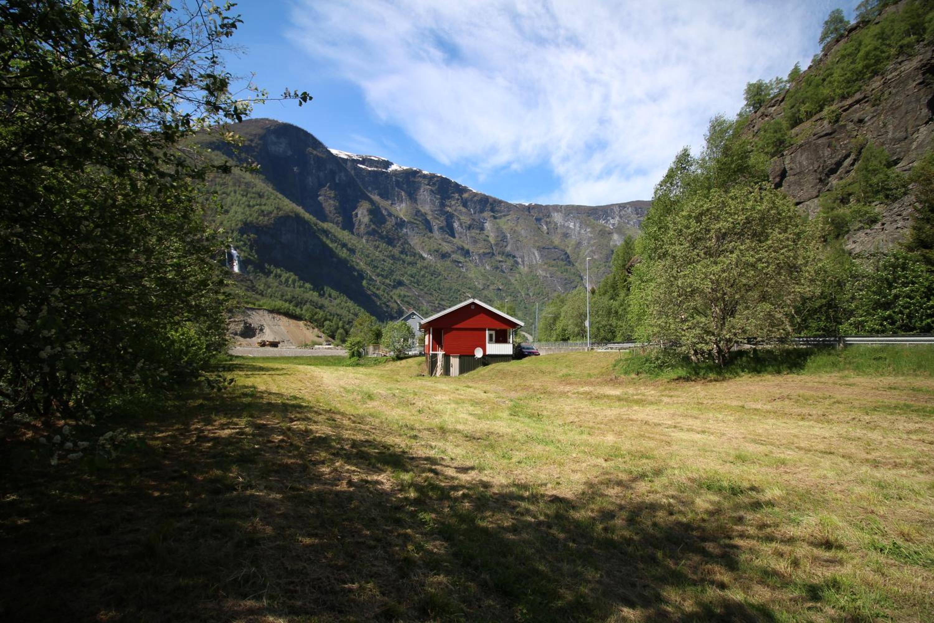 Photo 11