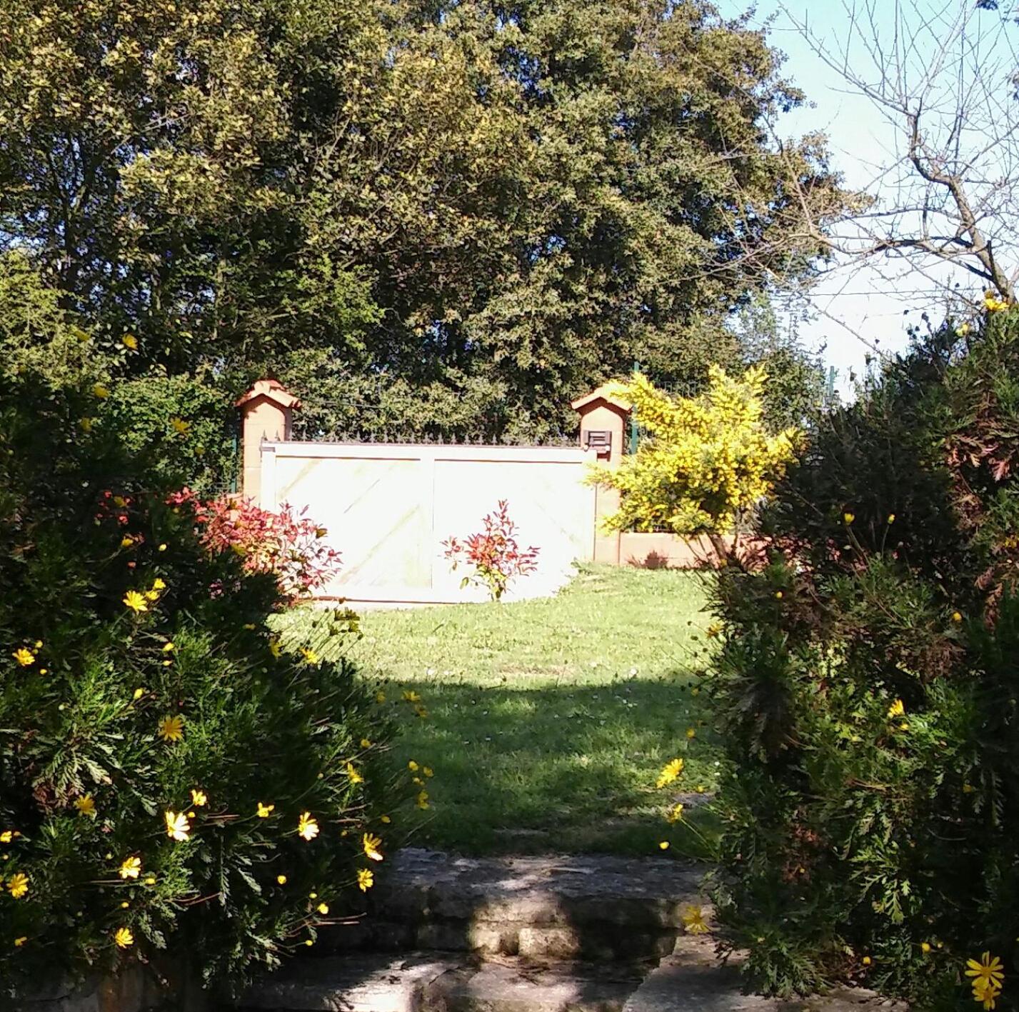 Photo 27