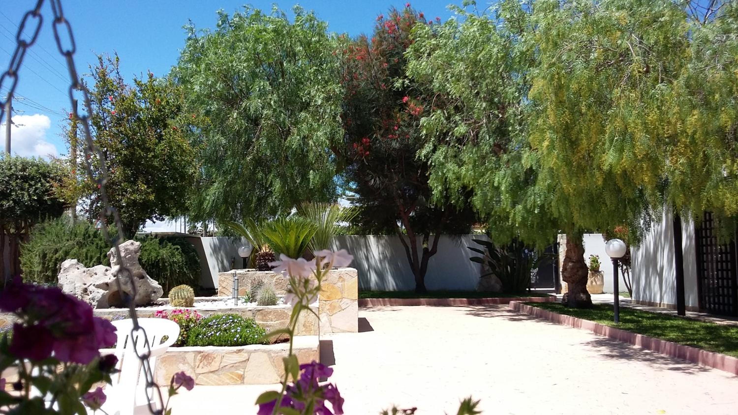 Photo 44