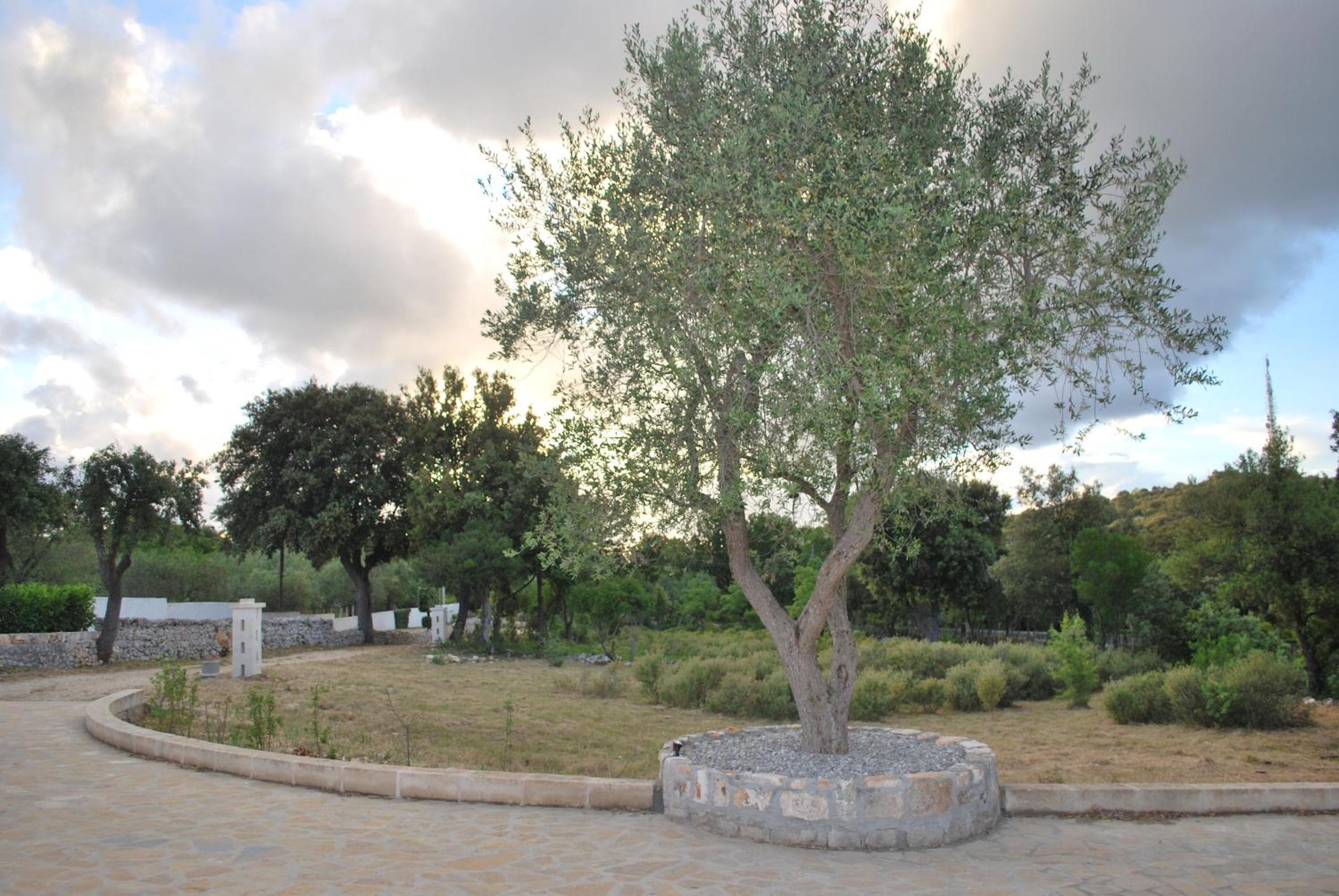 Photo 33