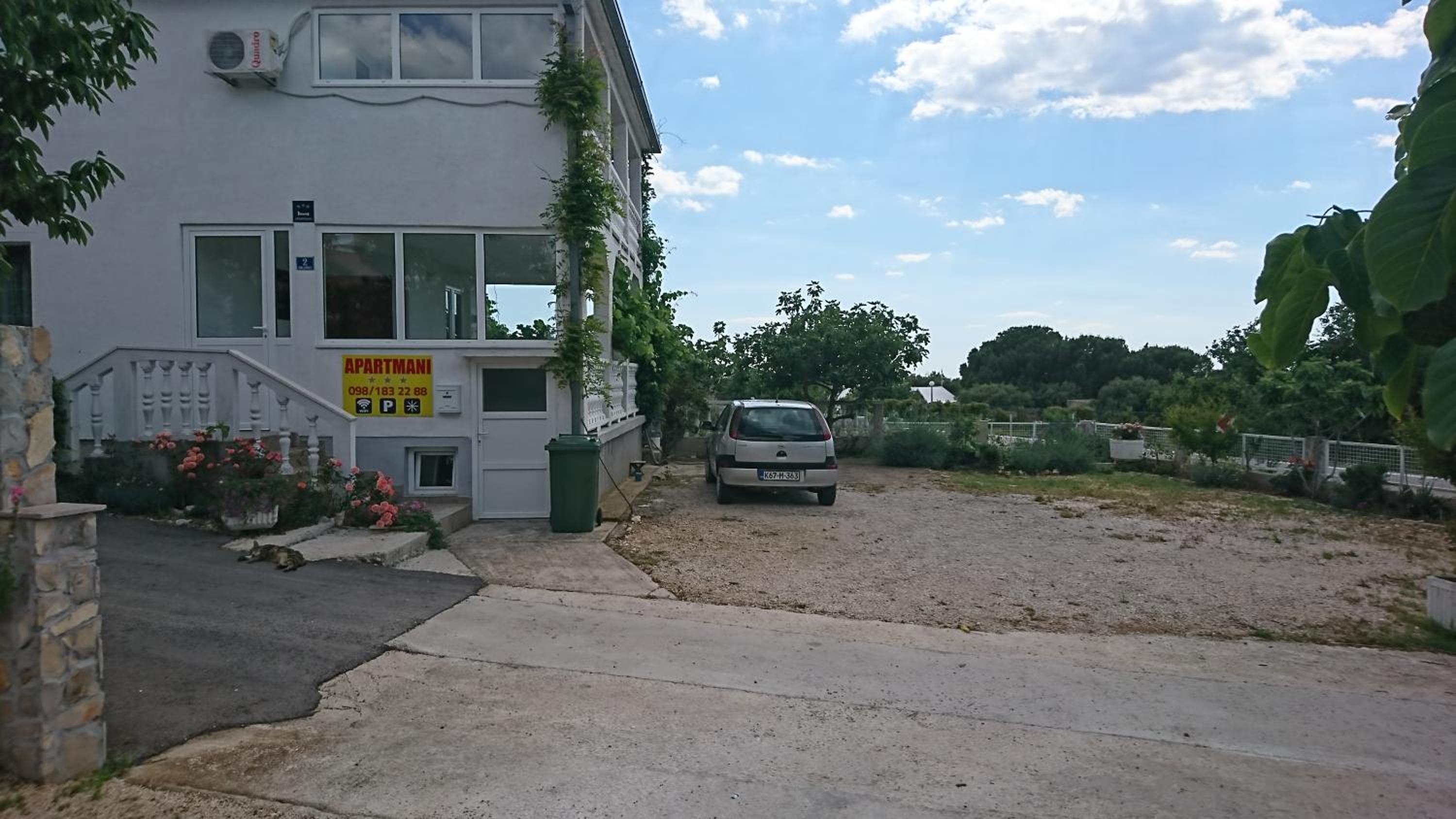 Photo 11