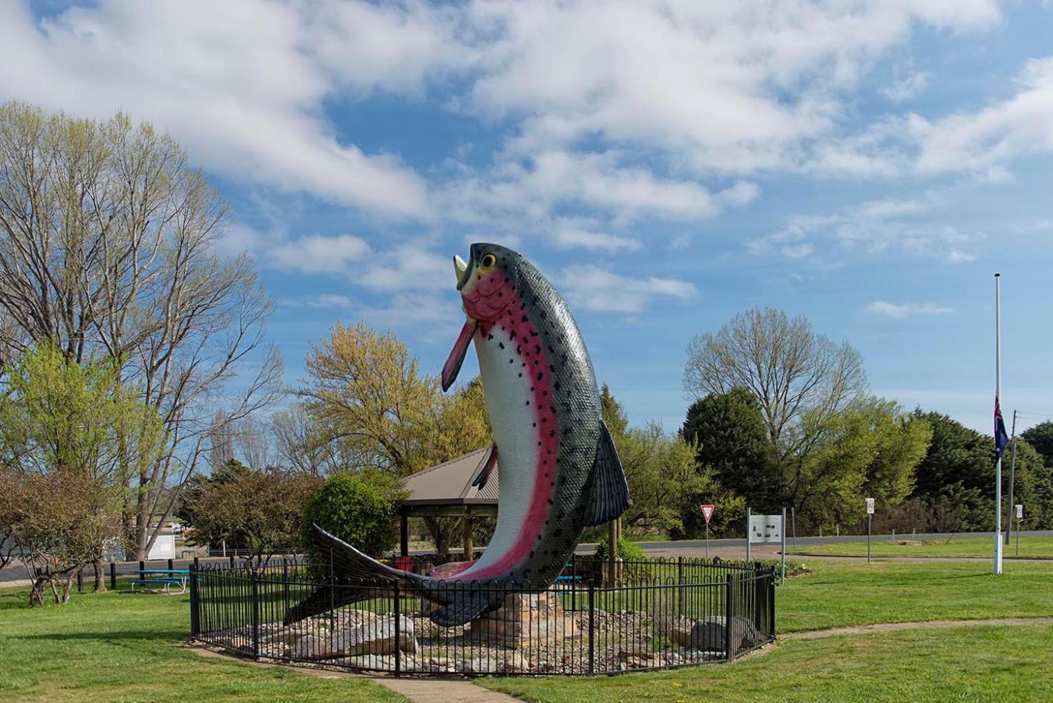 Rainbow Pines Tourist Caravan Park