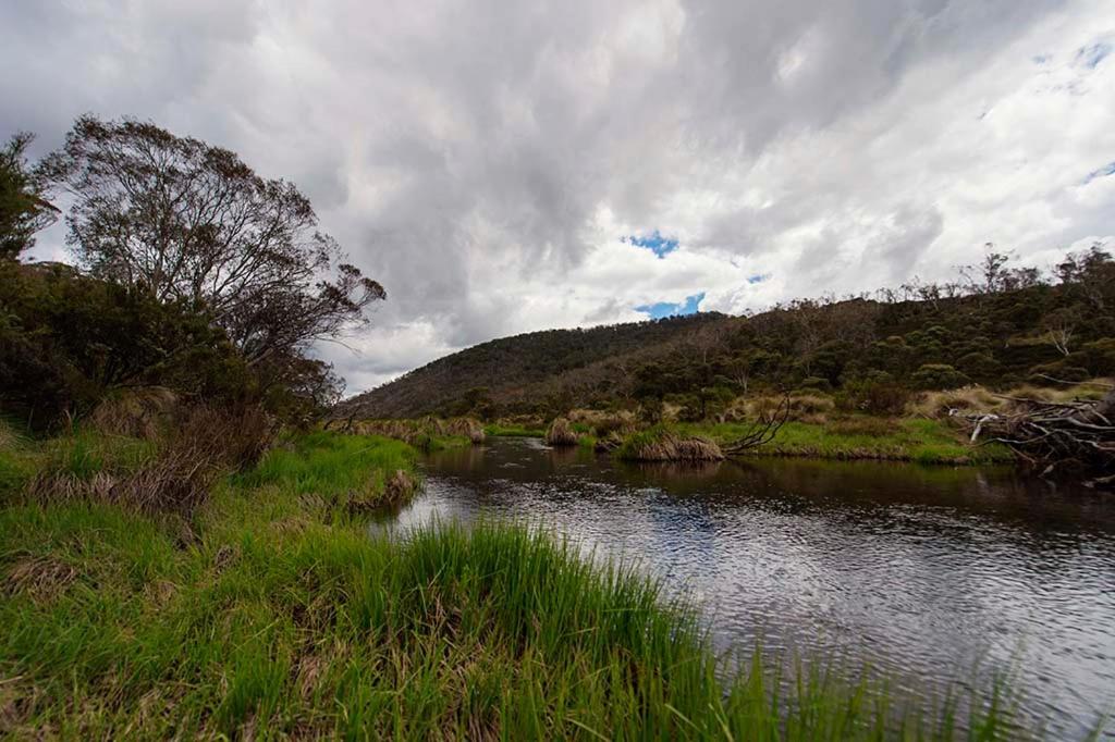 Rainbow Pines Tourist Caravan Park