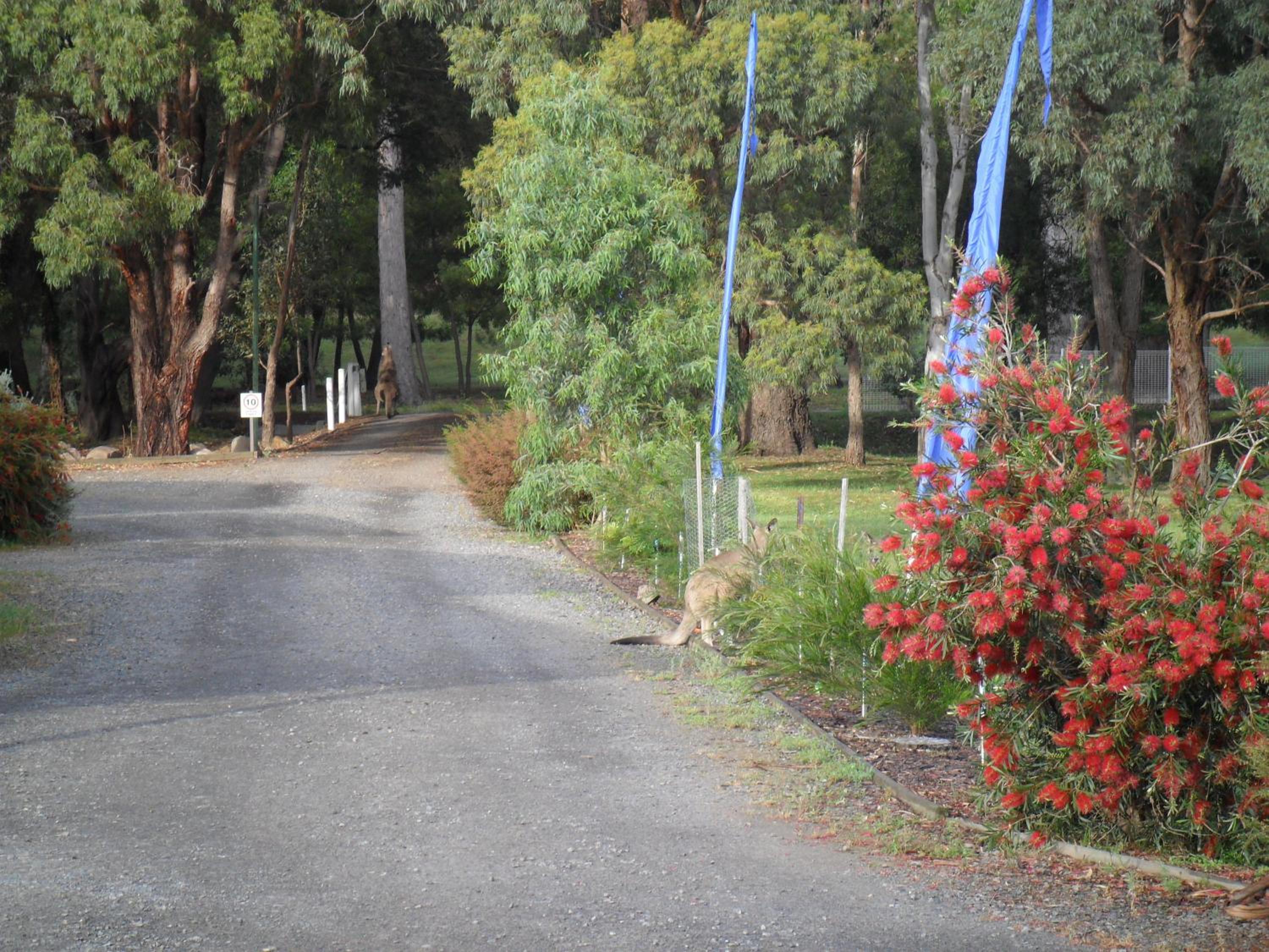 Grampians Chalets
