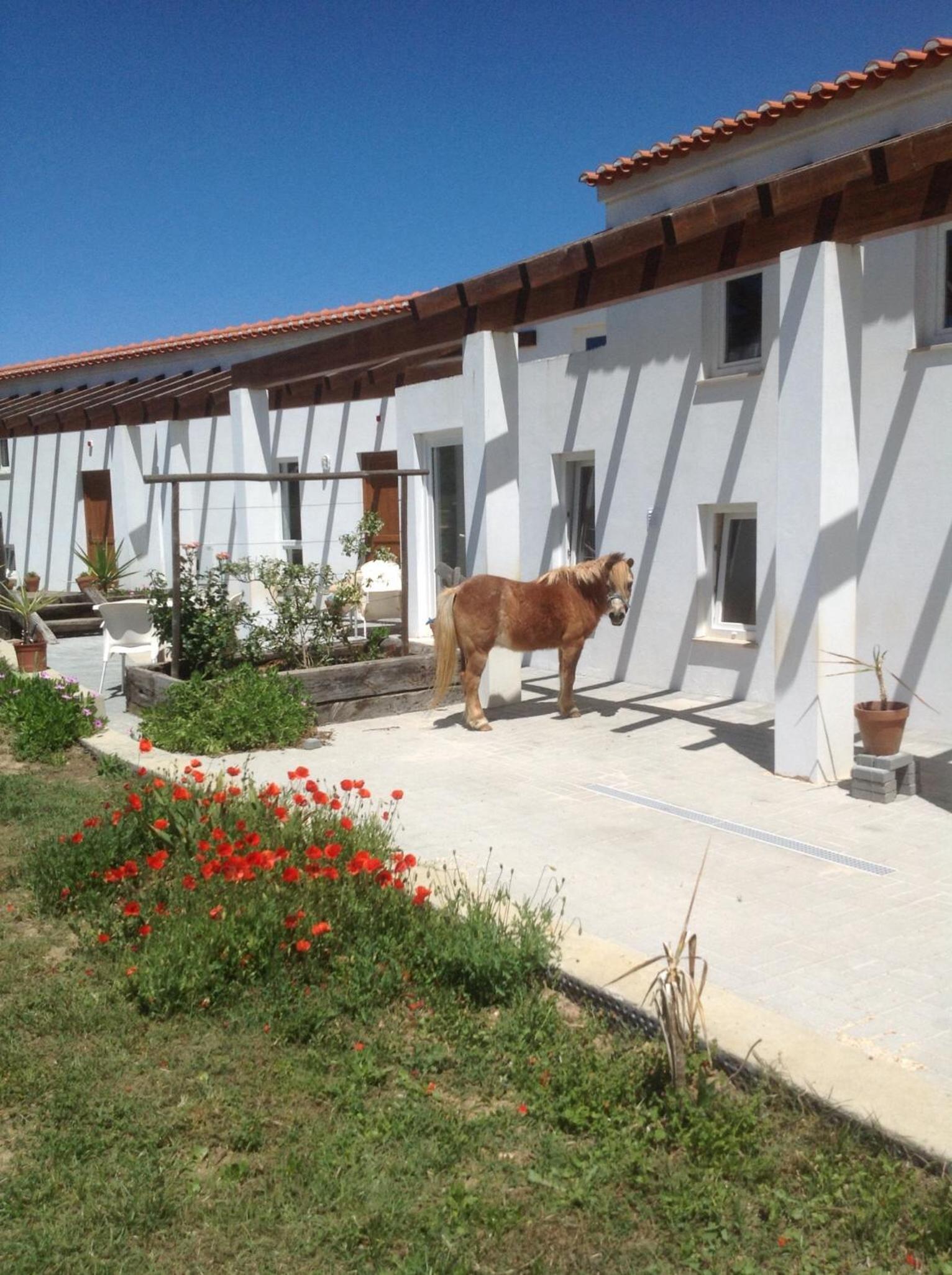 Quinta de Moledos