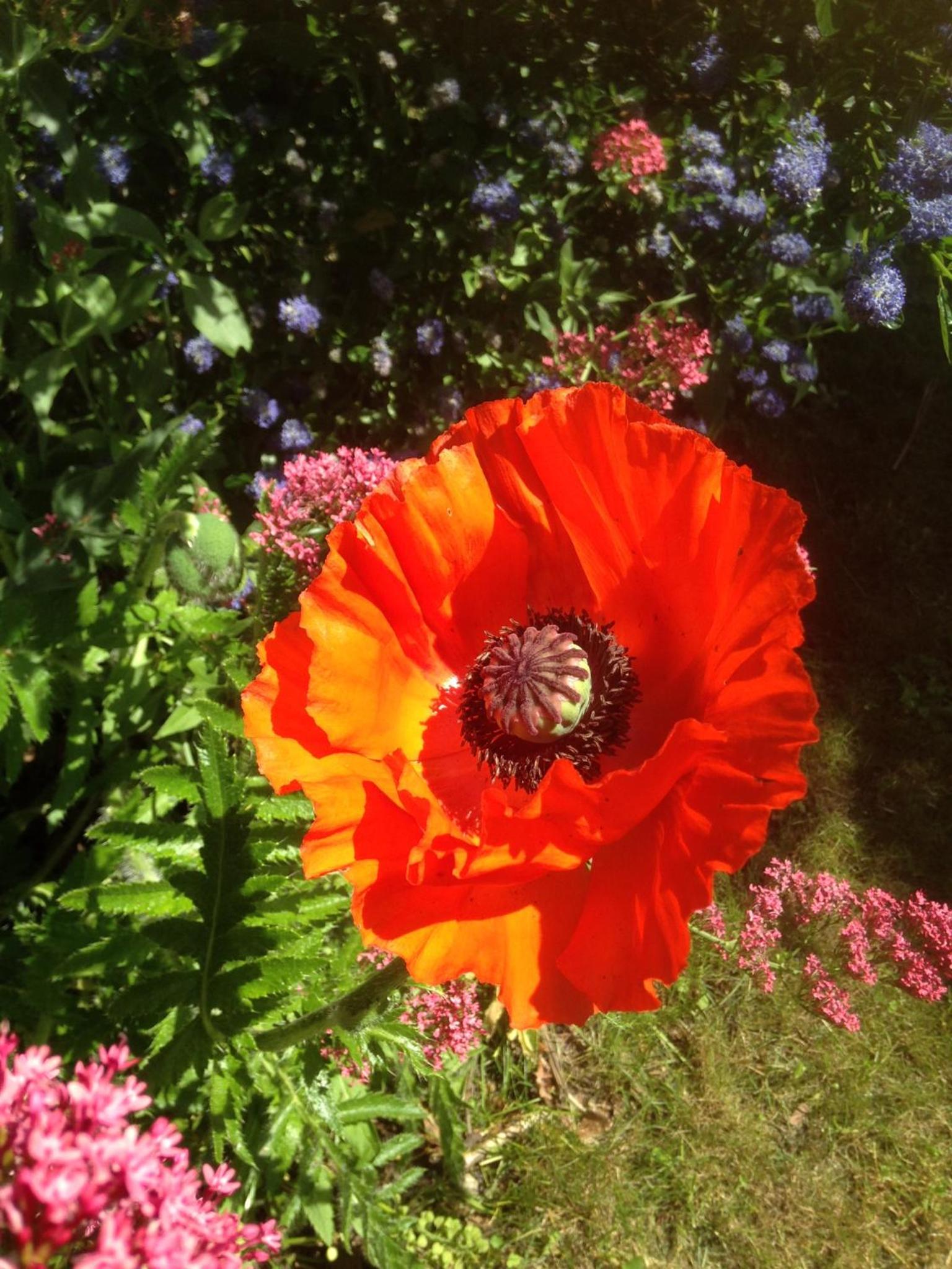 Photo 23