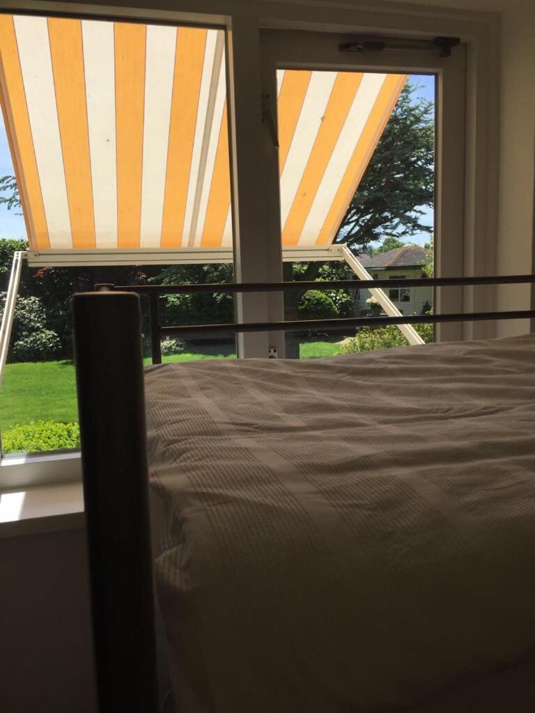 La Tulipe, photo 27