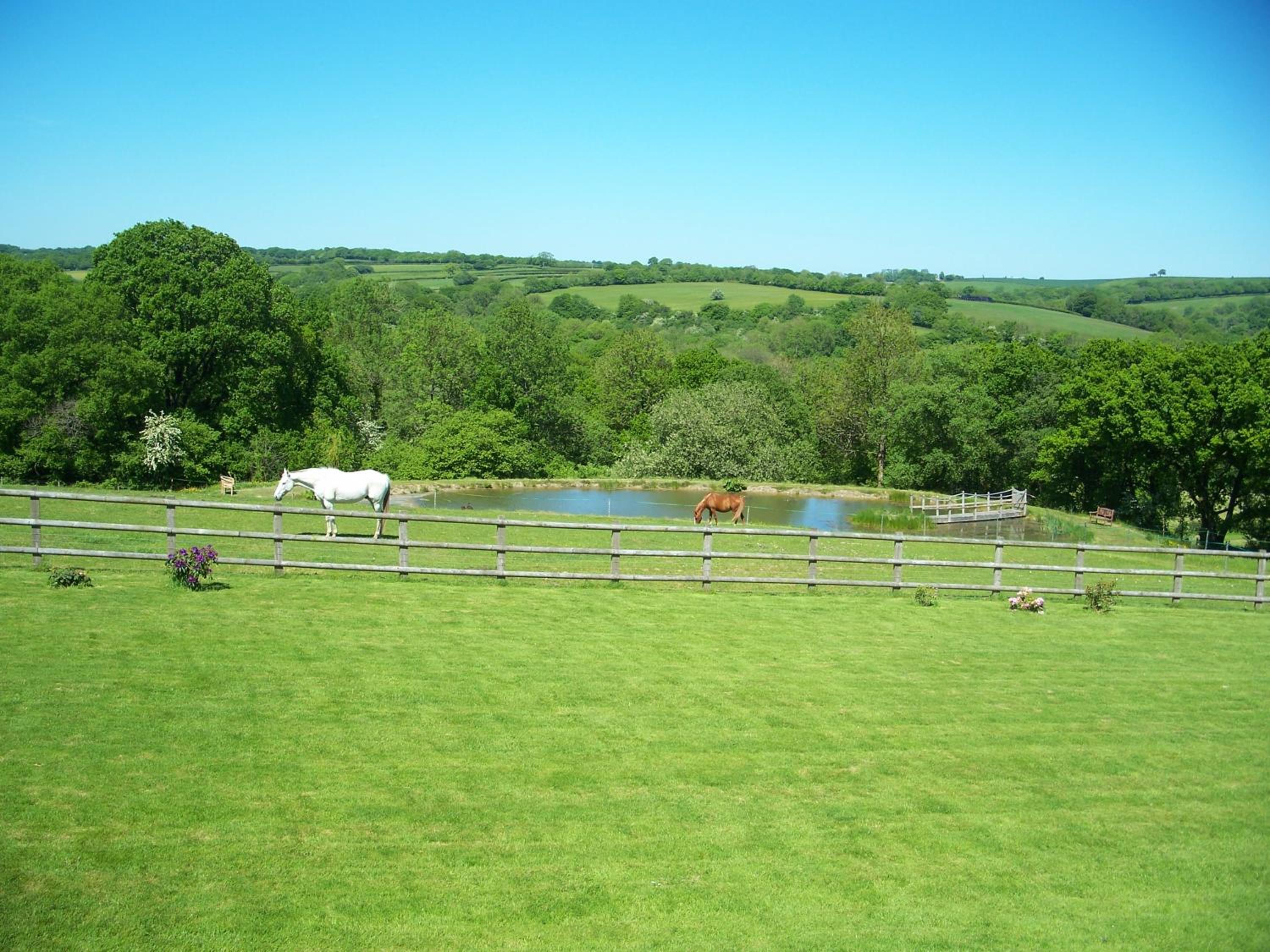Fernside Bed and Breakfast