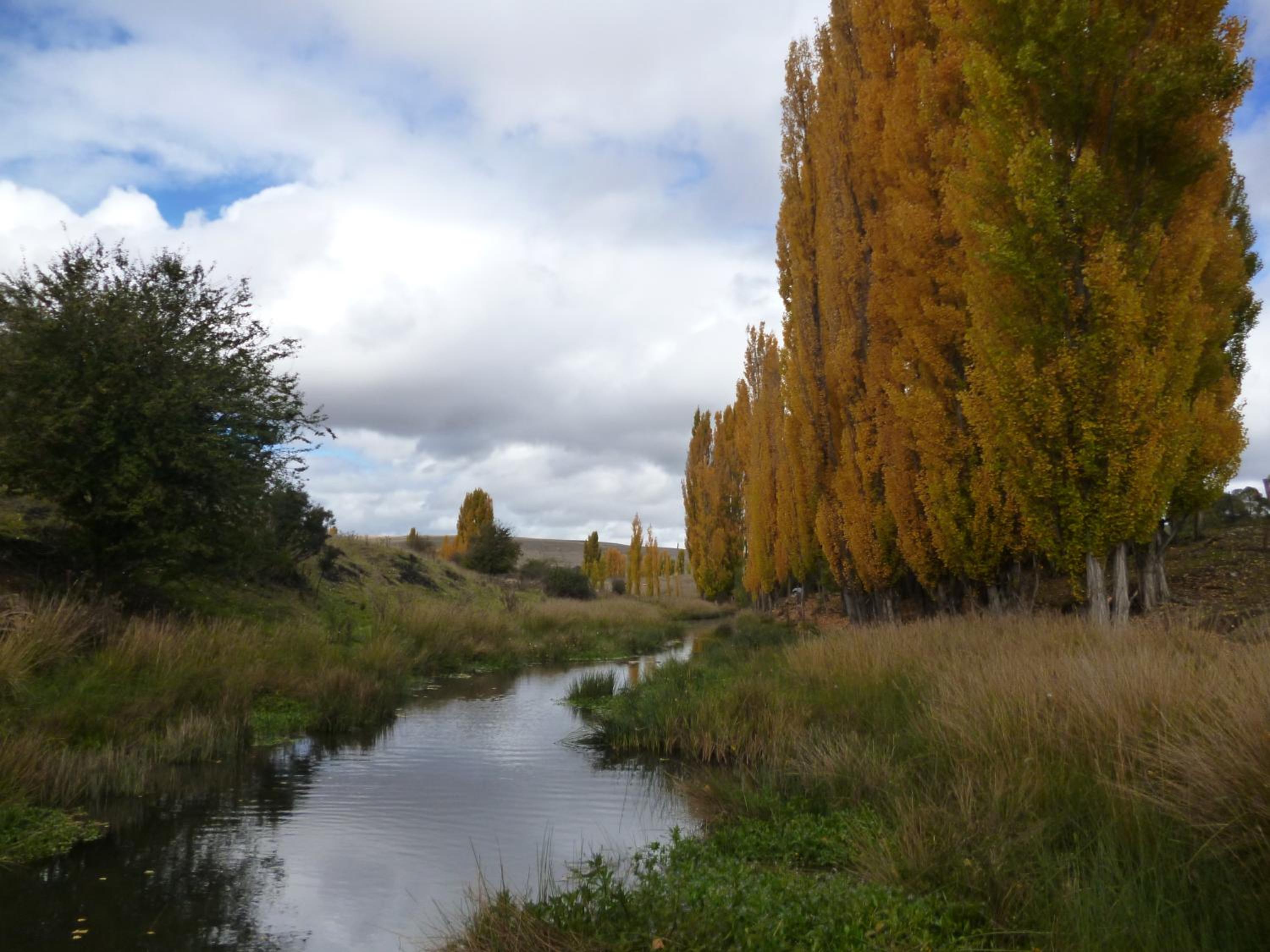 Woodvale at Cooma