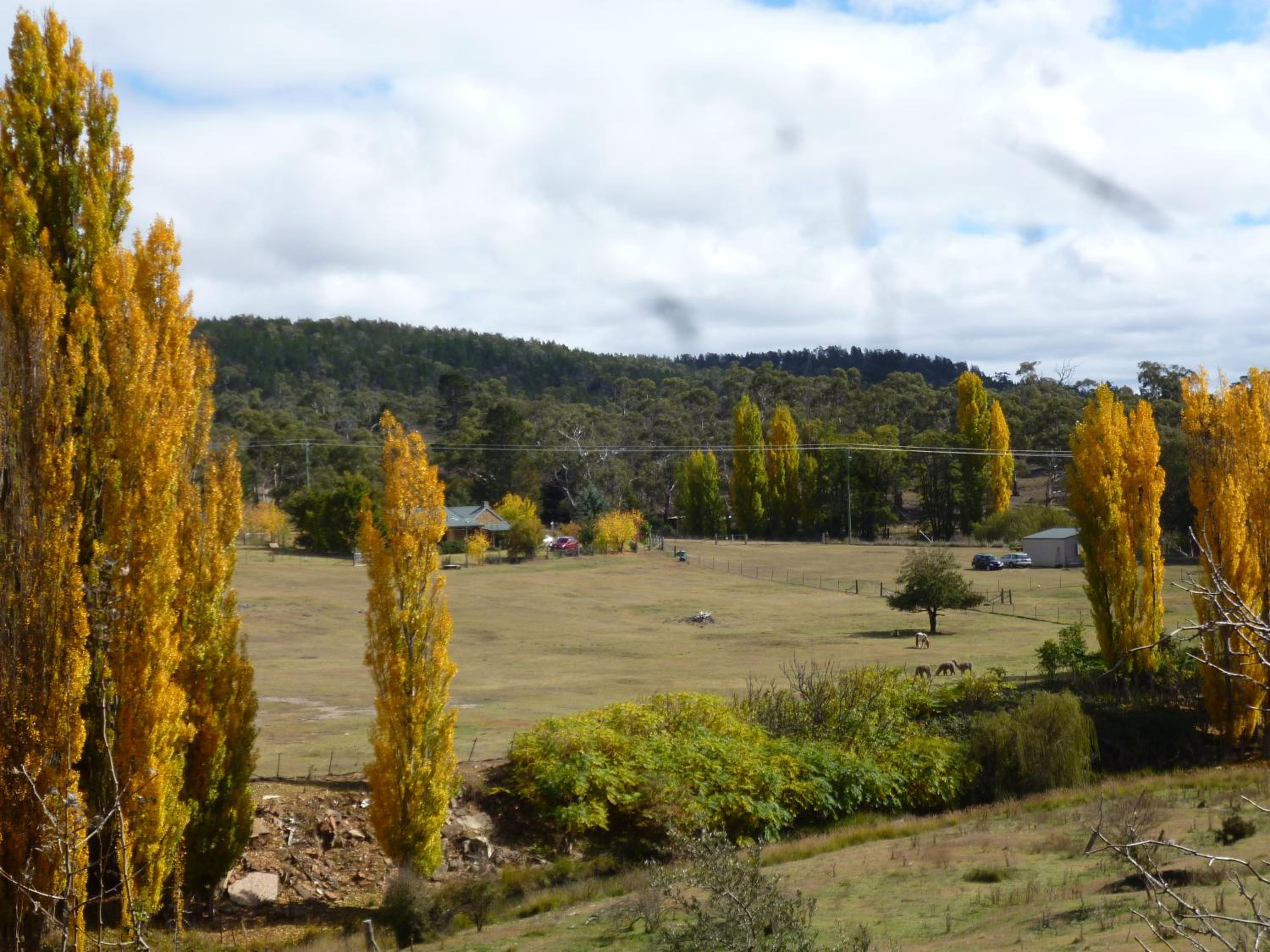 Woodvale at Cooma