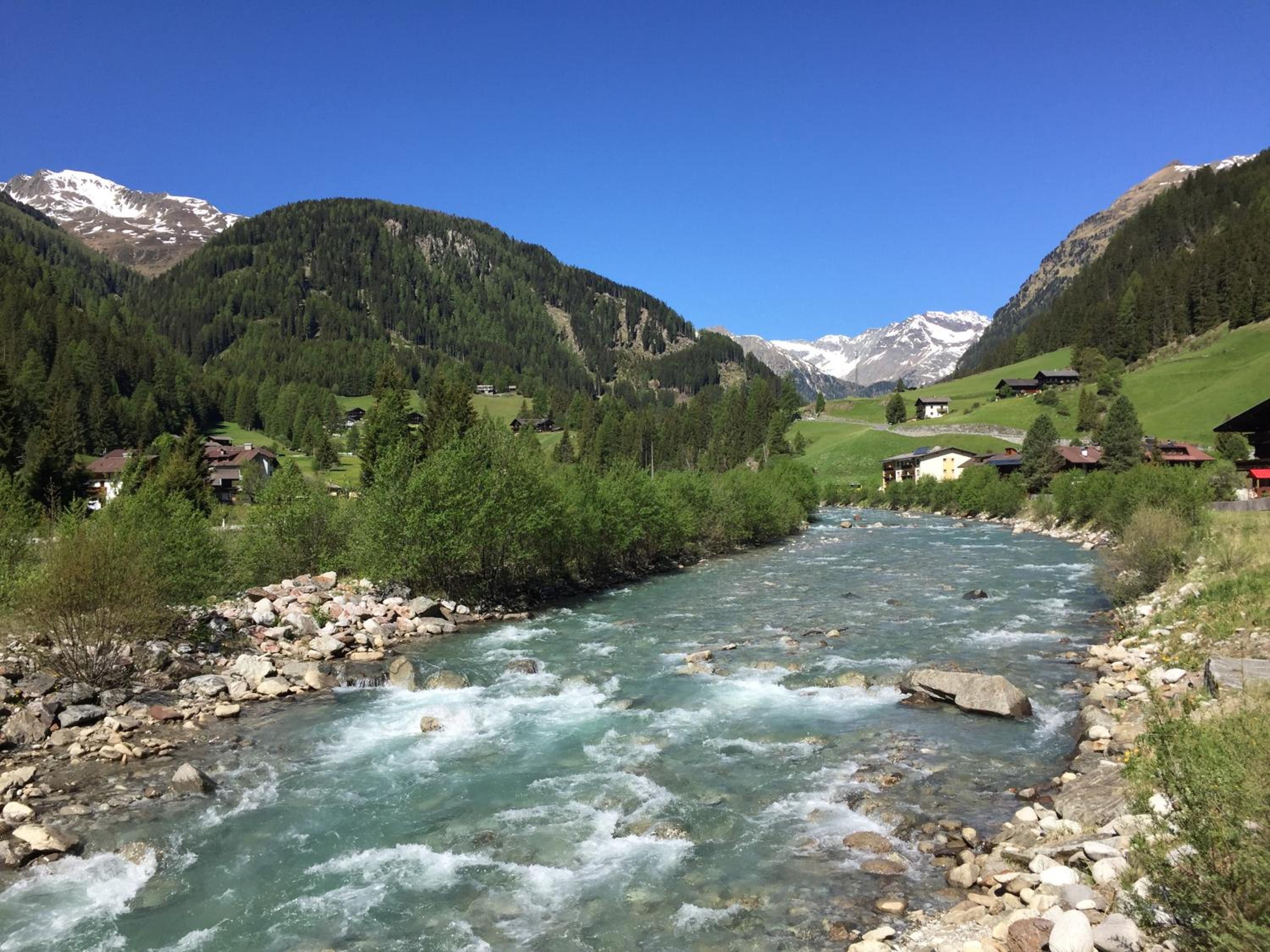 Photo 41