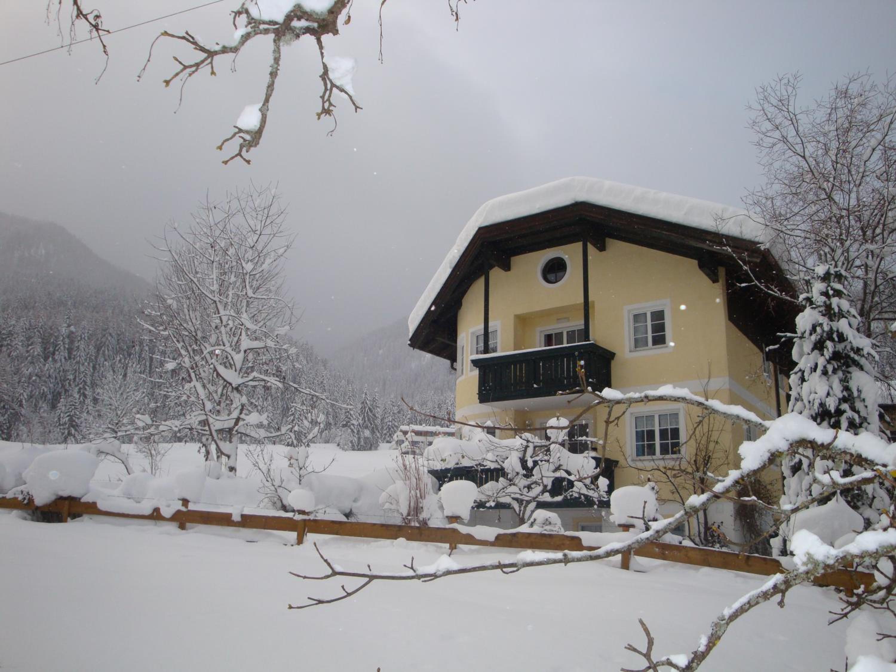 Photo 43