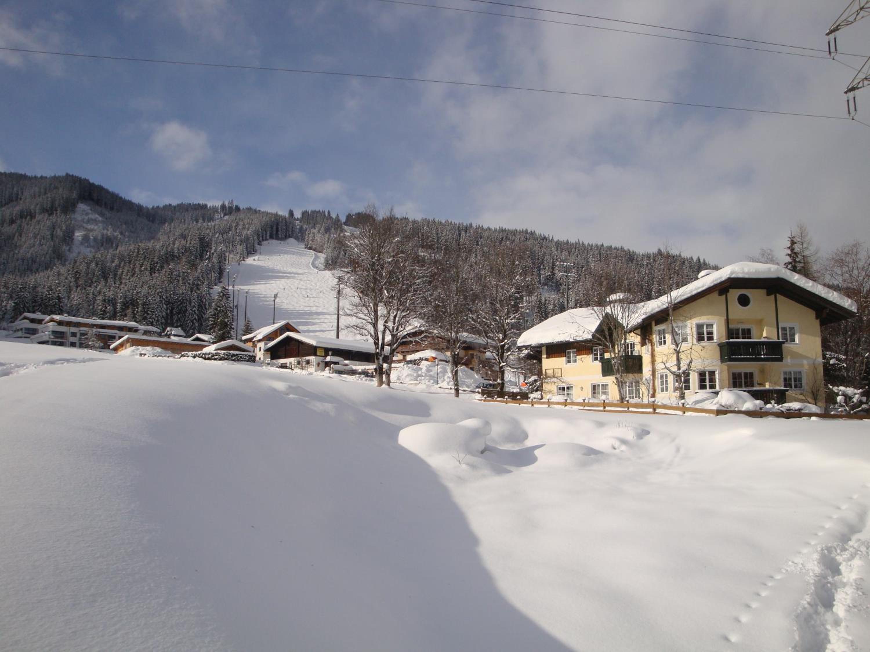 Photo 42