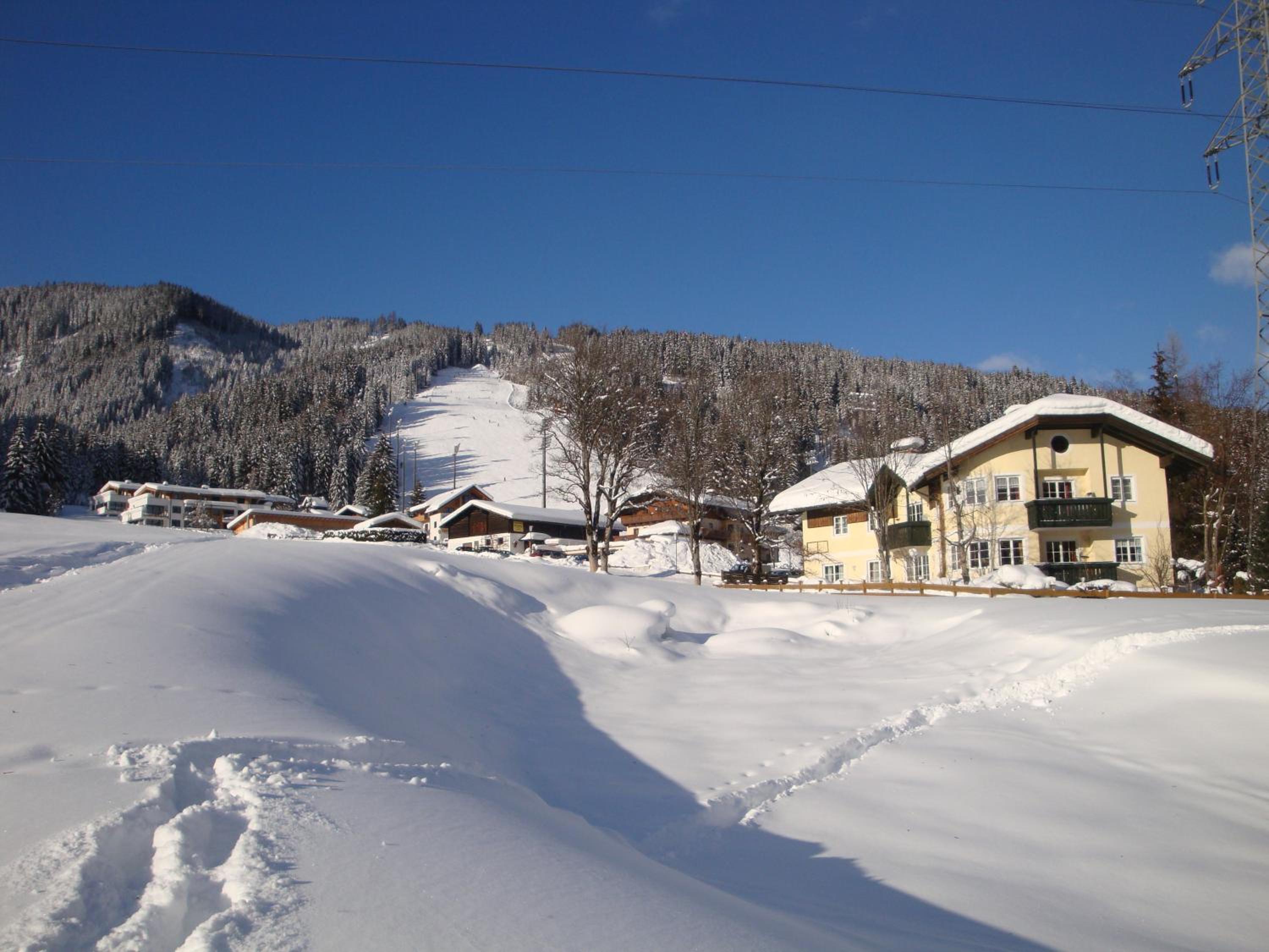 Photo 45