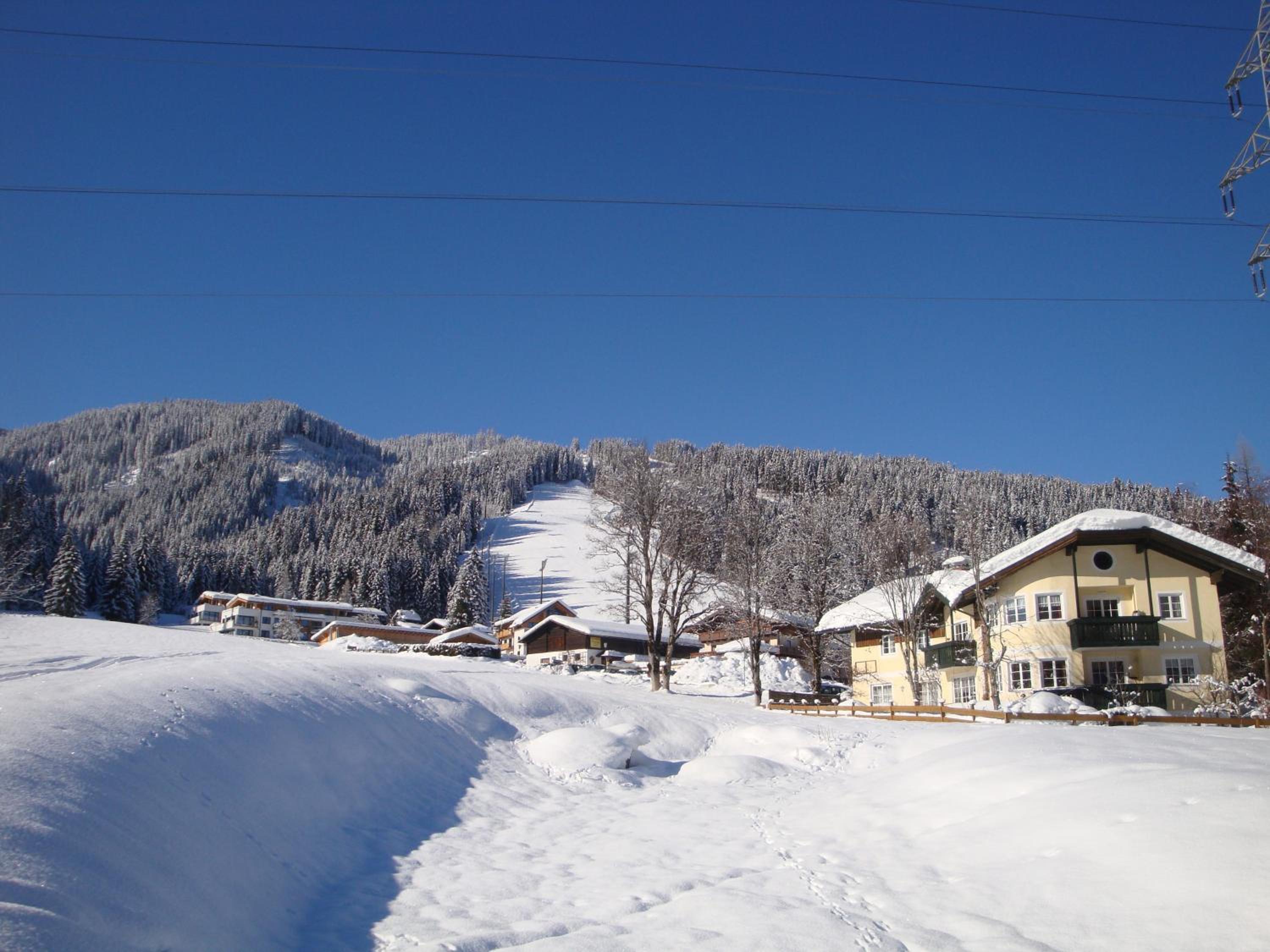 Photo 49