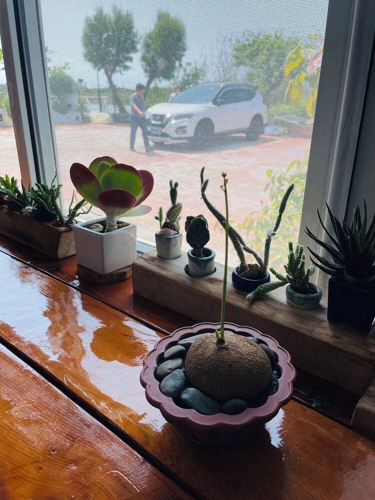 LanJen Villa B&B