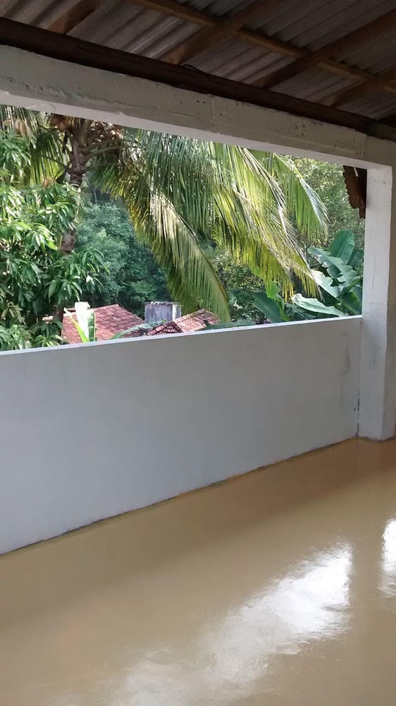 Jungleside House