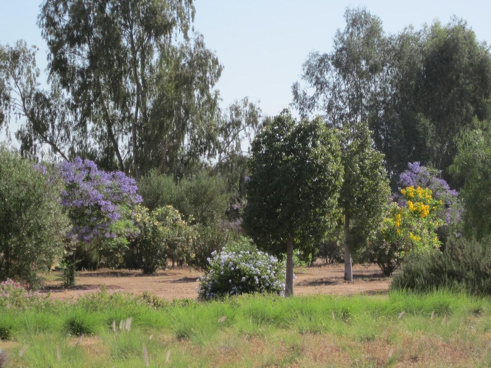 Photo 30