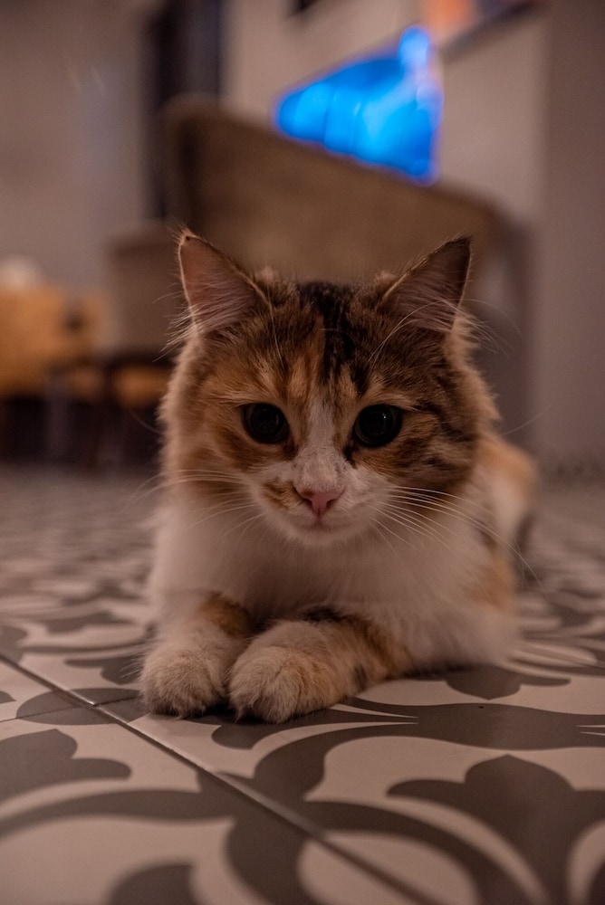 New Taksim Otel - Image 57