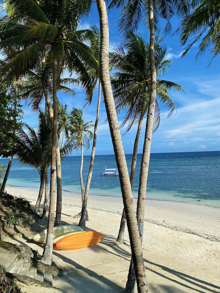 Anda White Beach Resort 64