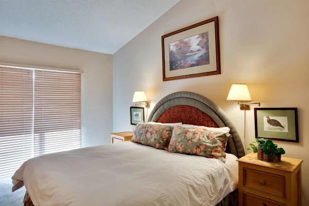Willows Condos Vail