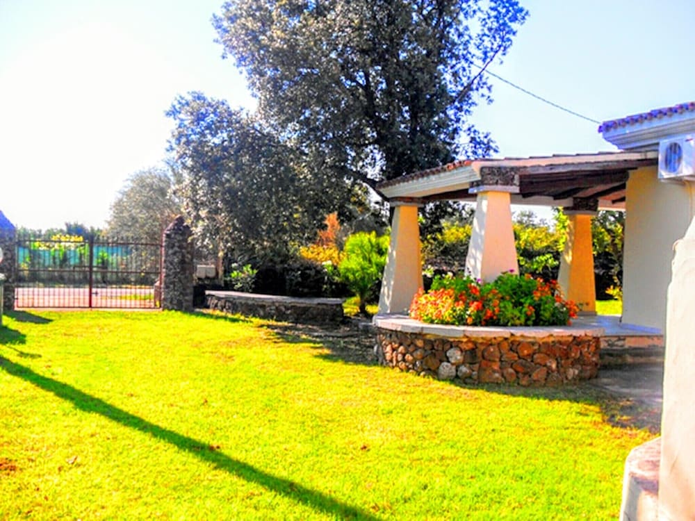 Photo 8