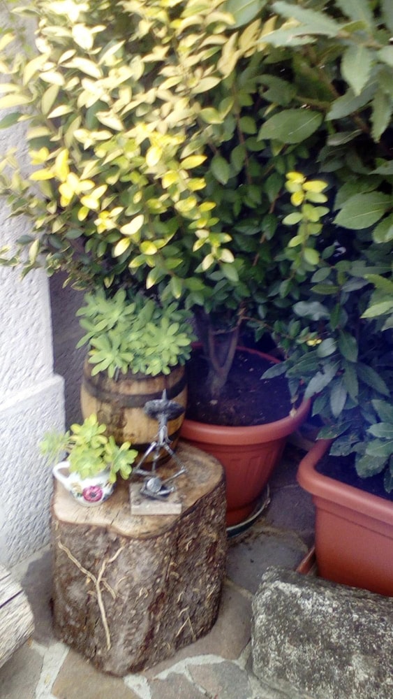 B&B il gelsomino